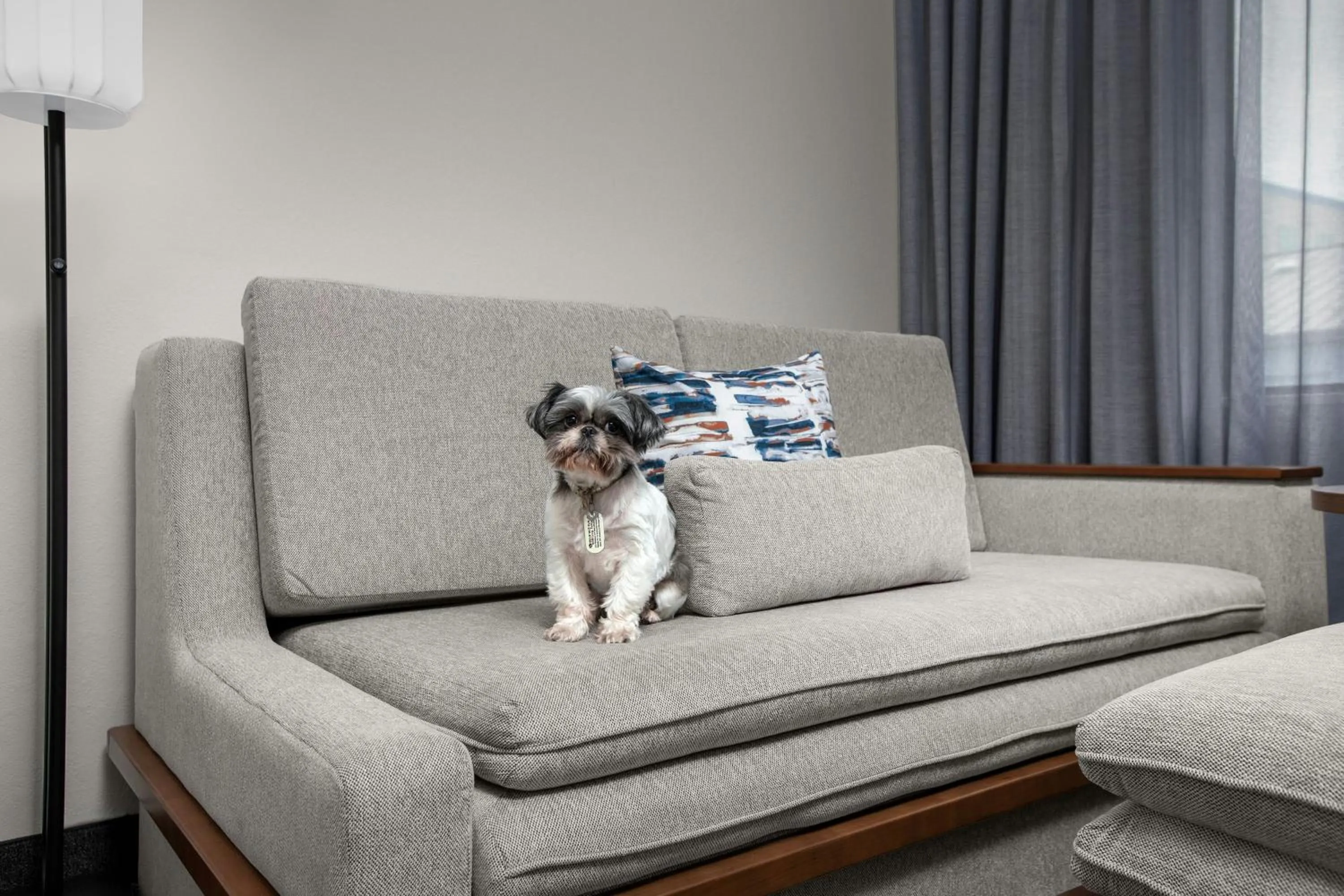 Other in Courtyard by Marriott Dallas DFW Airport North/Irving