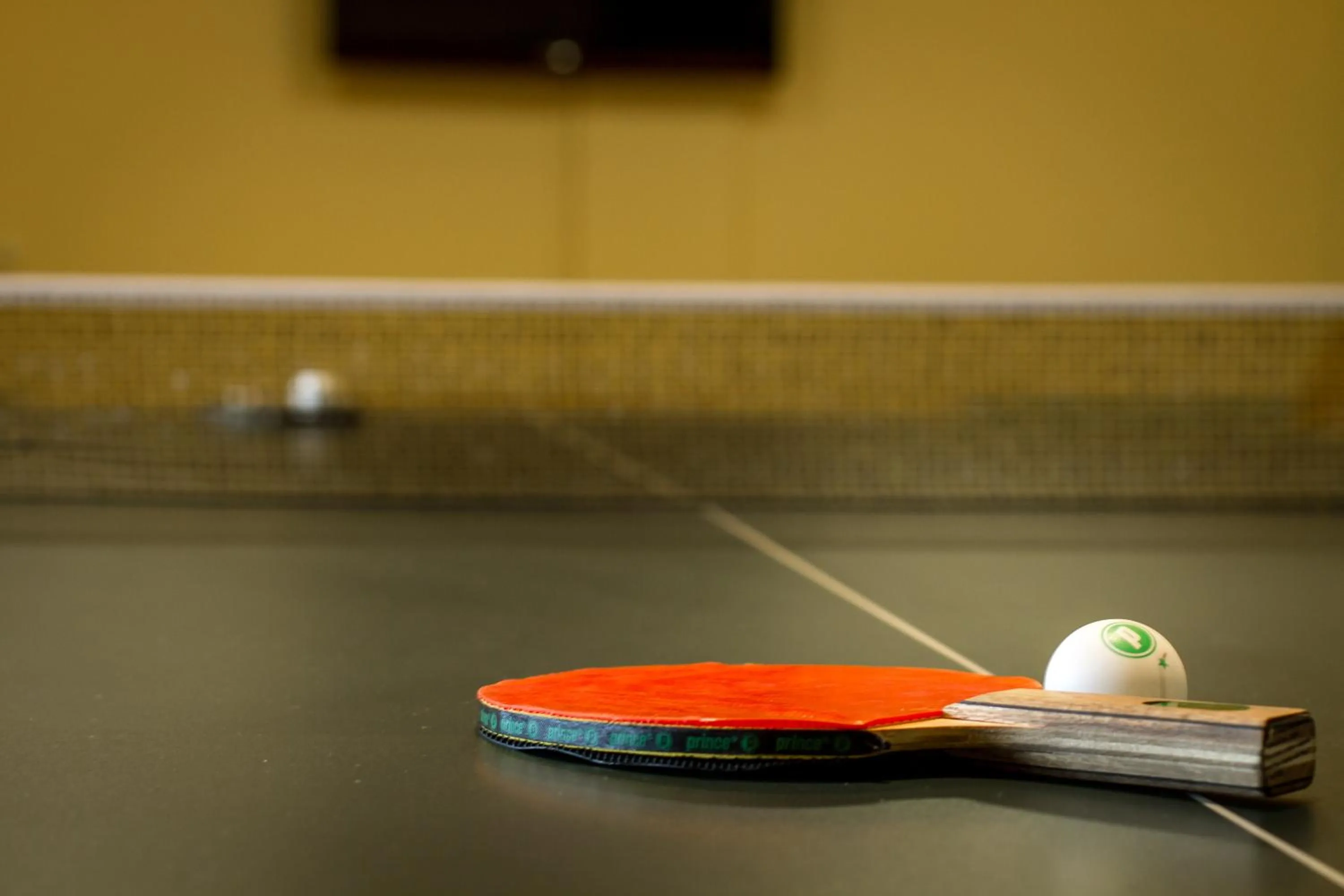 Table tennis in Coronado Beach Resort