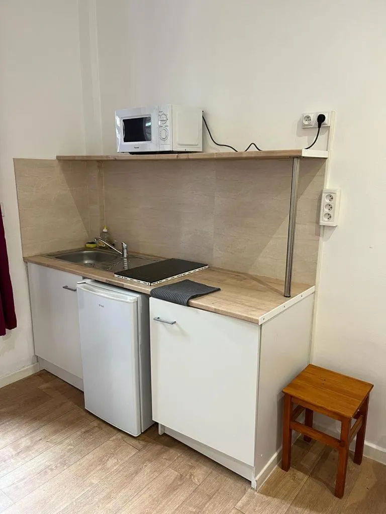 Kitchen or kitchenette in Hôtel Lyonnais