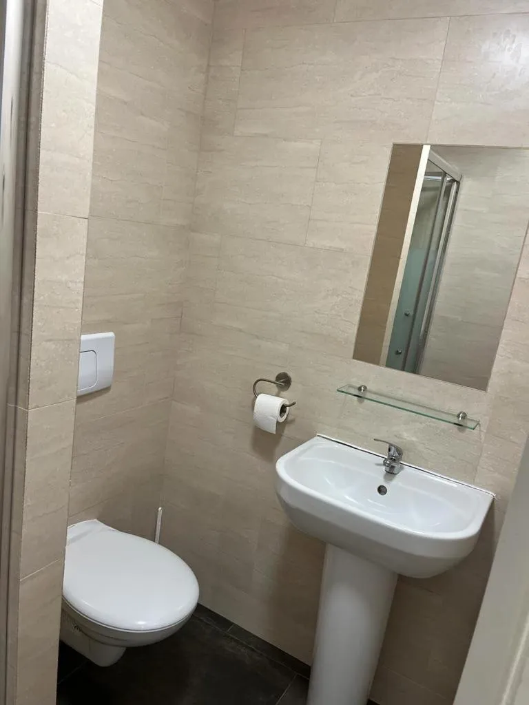 Toilet in Hôtel Lyonnais