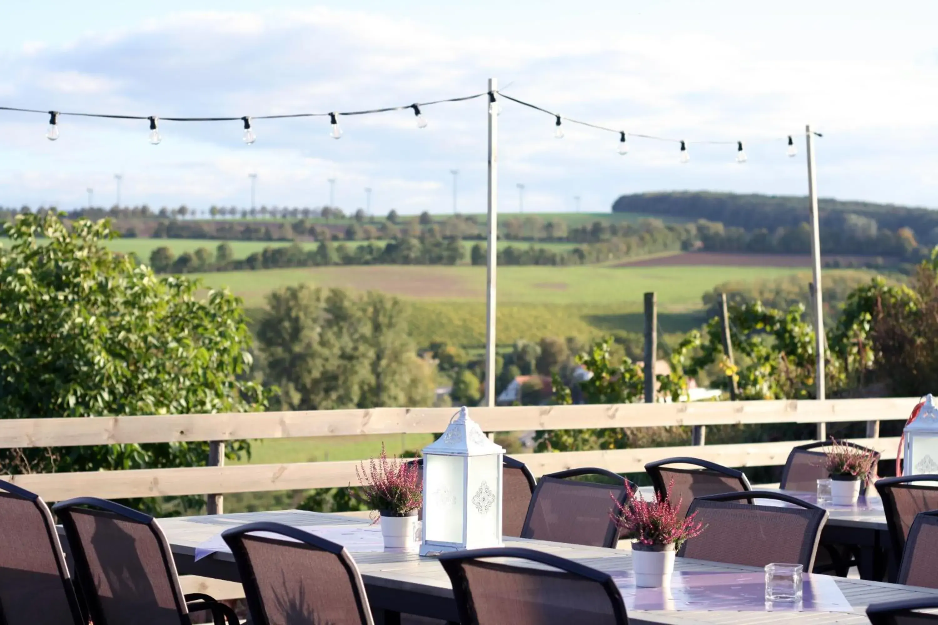 Winzerhotel Trautwein Winzerhotel Trautwein