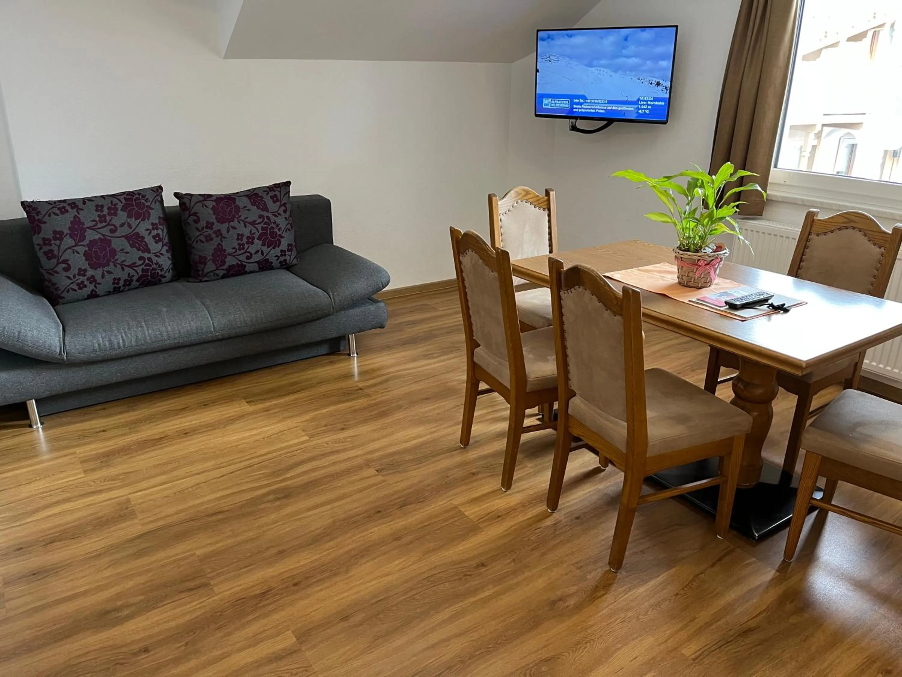 Living room in Apartment Sonnwend