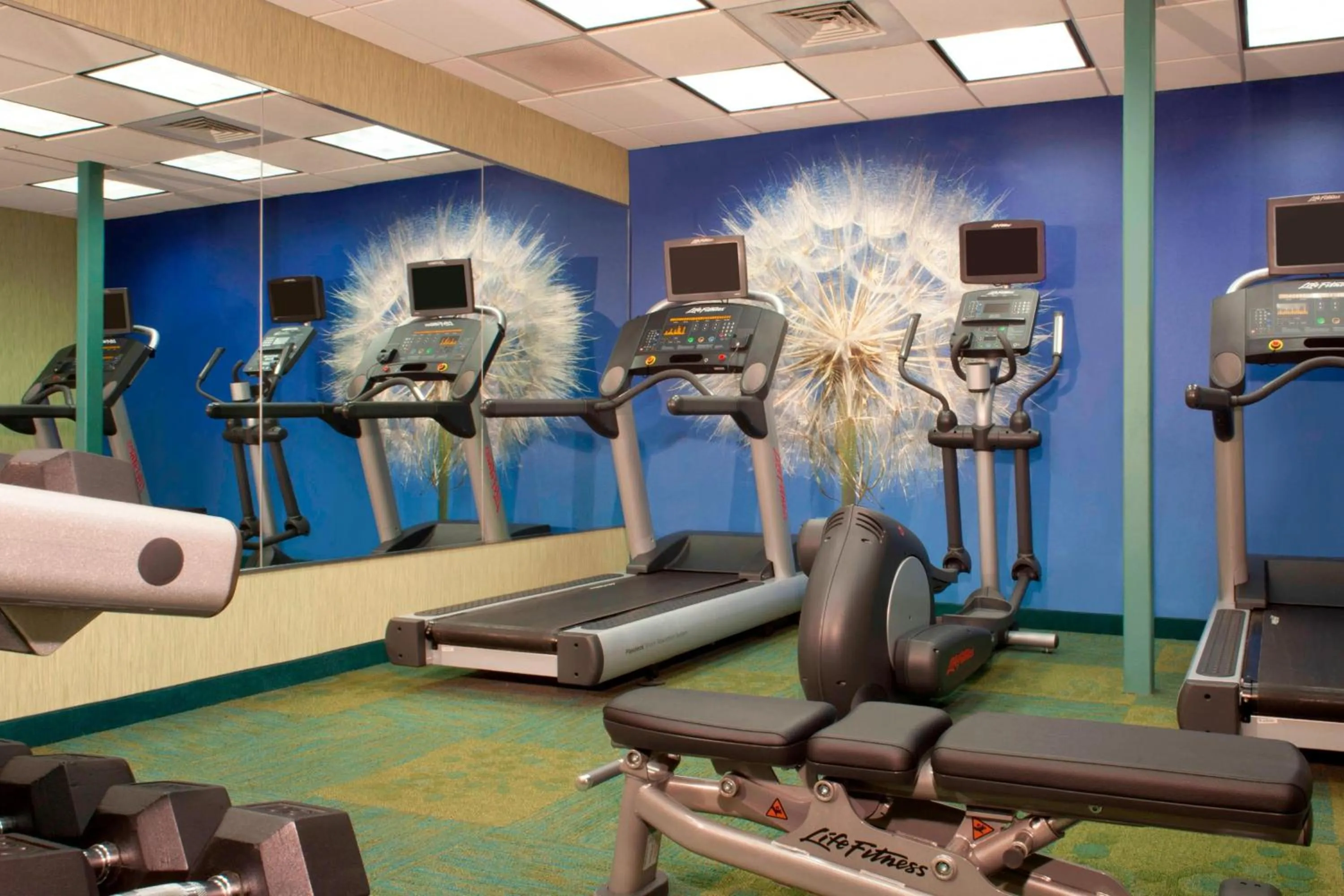 Fitness centre/facilities in SpringHill Suites Gainesville