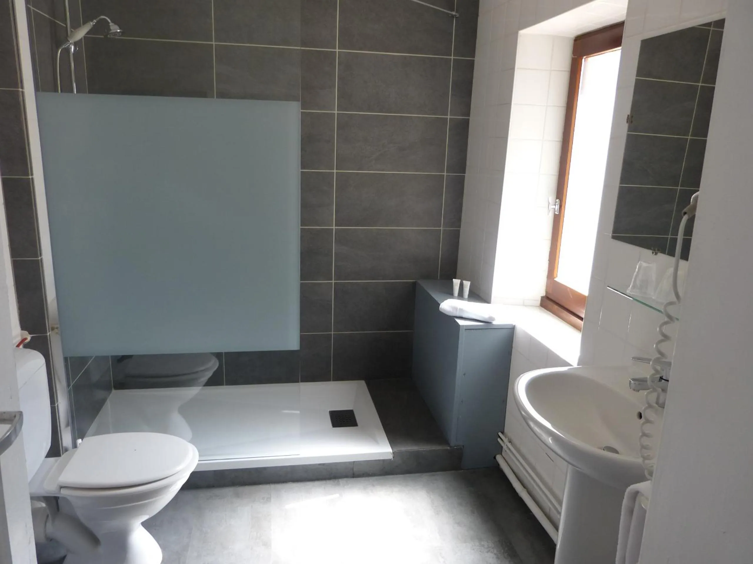 Bathroom in Hotel des Alpes