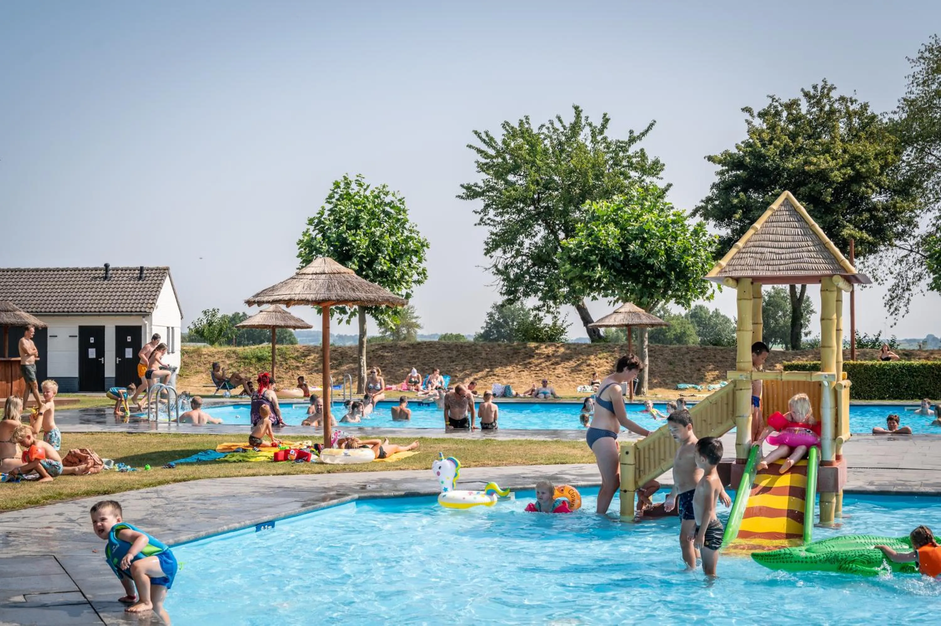 Swimming pool in EuroParcs Gulperberg