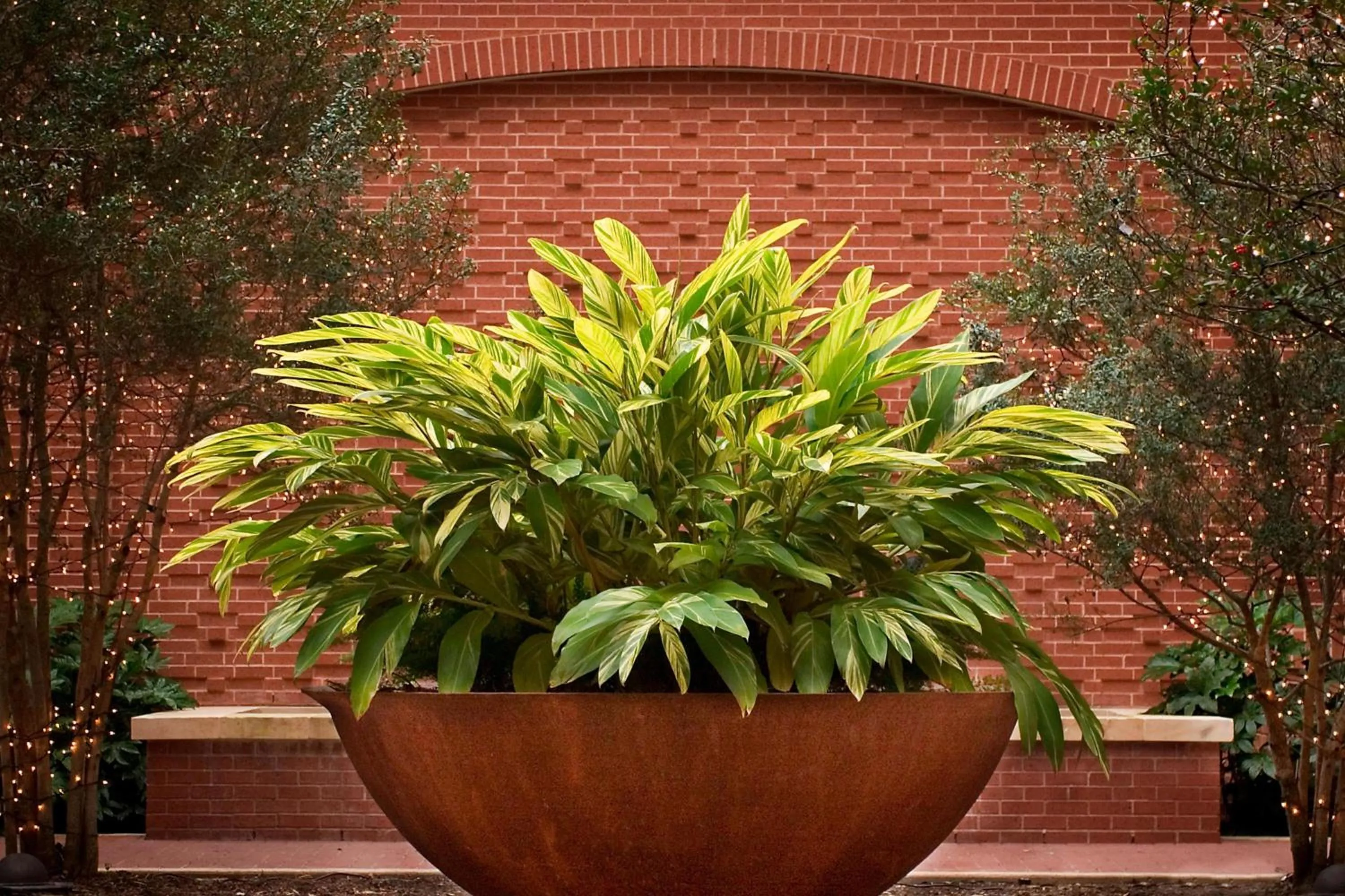 View (from property/room) in Houston Marriott Sugar Land