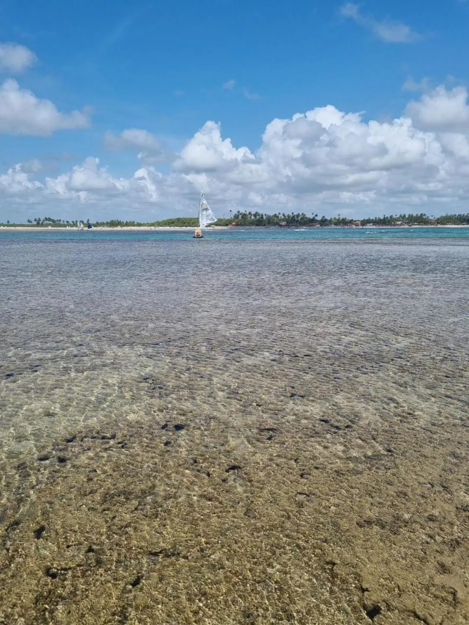 Natural landscape in Pousada Sal e Mar Maracaipe