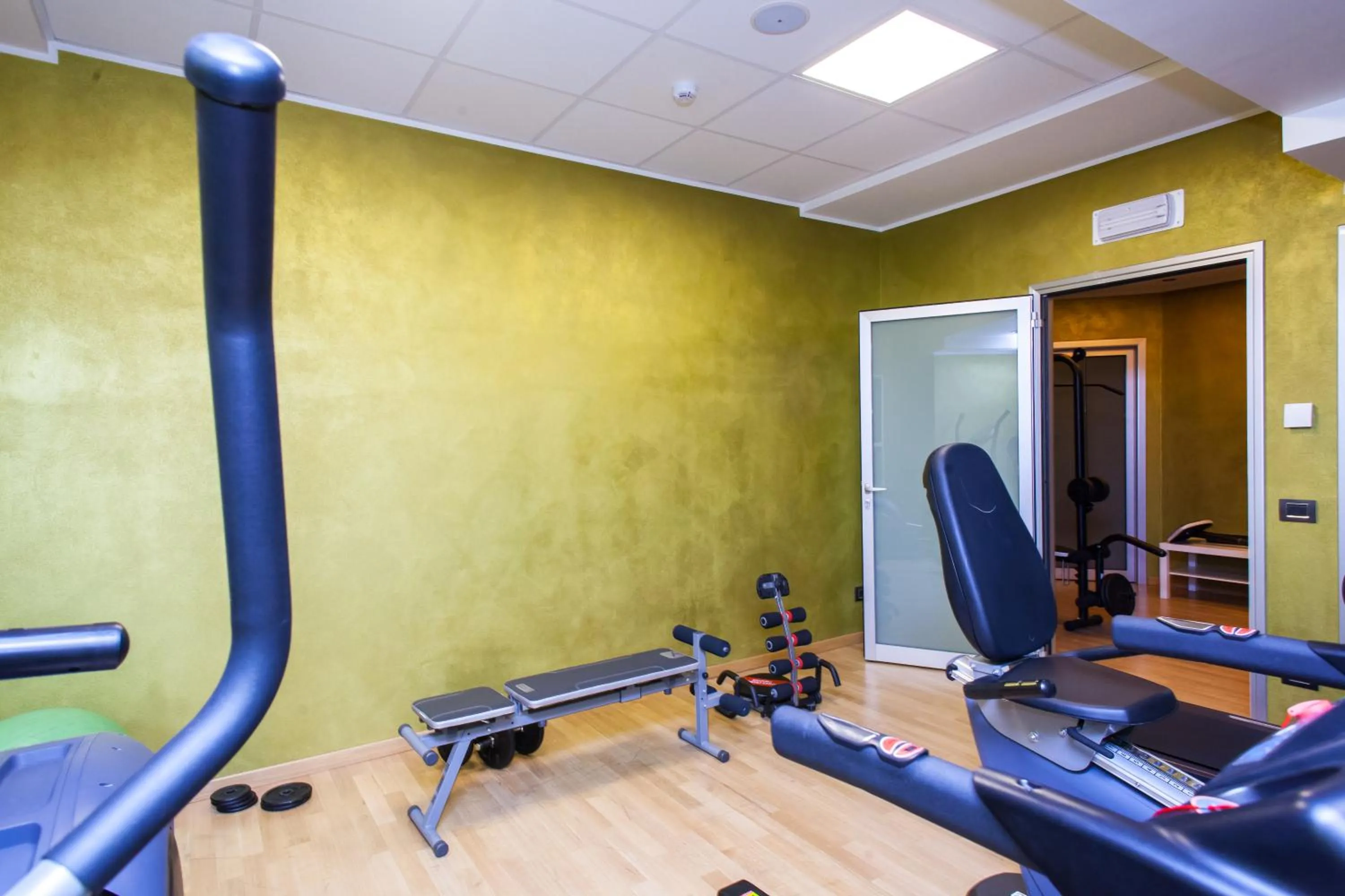 Fitness centre/facilities in Palace Hotel Zingonia