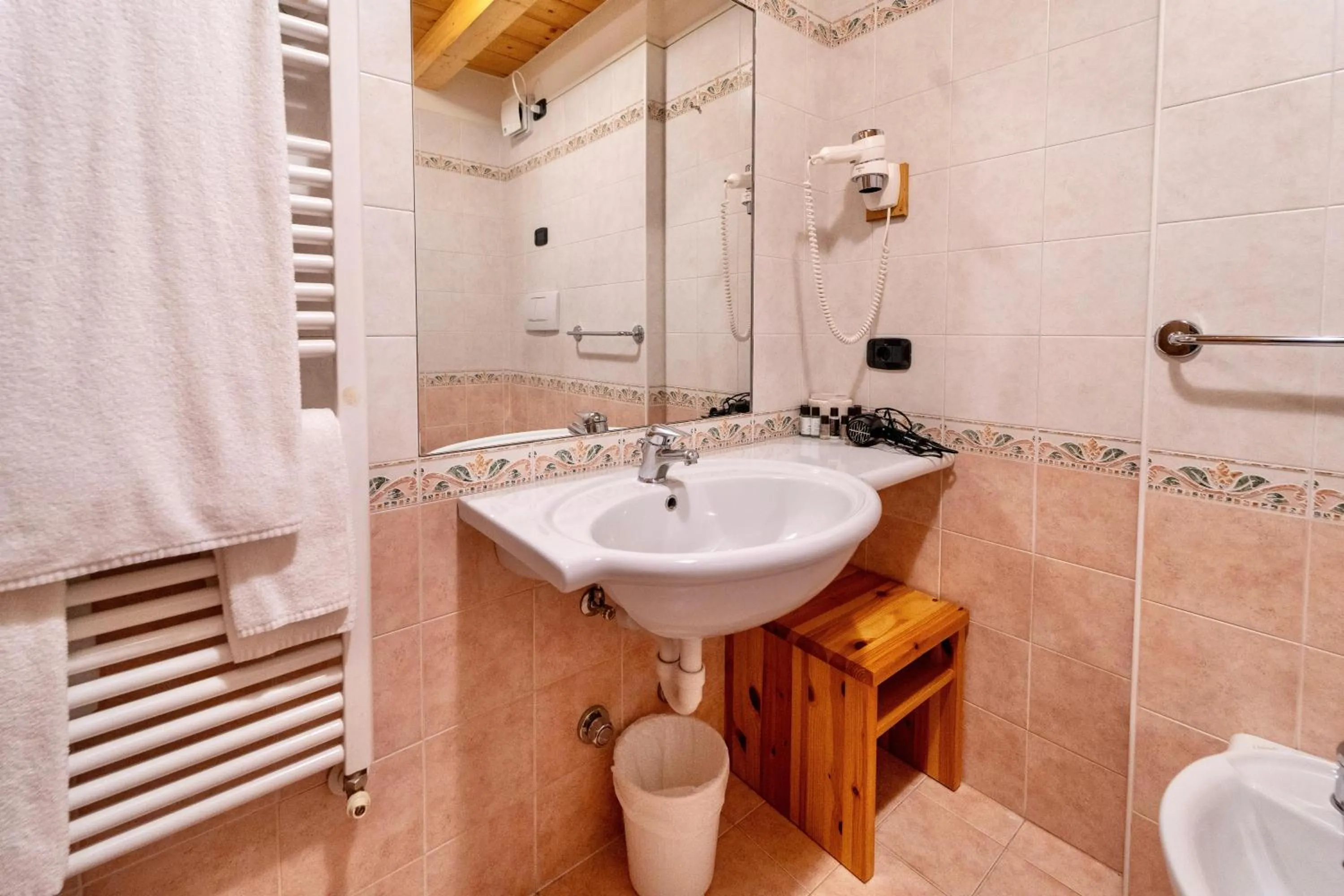 Toilet in Hotel Primula