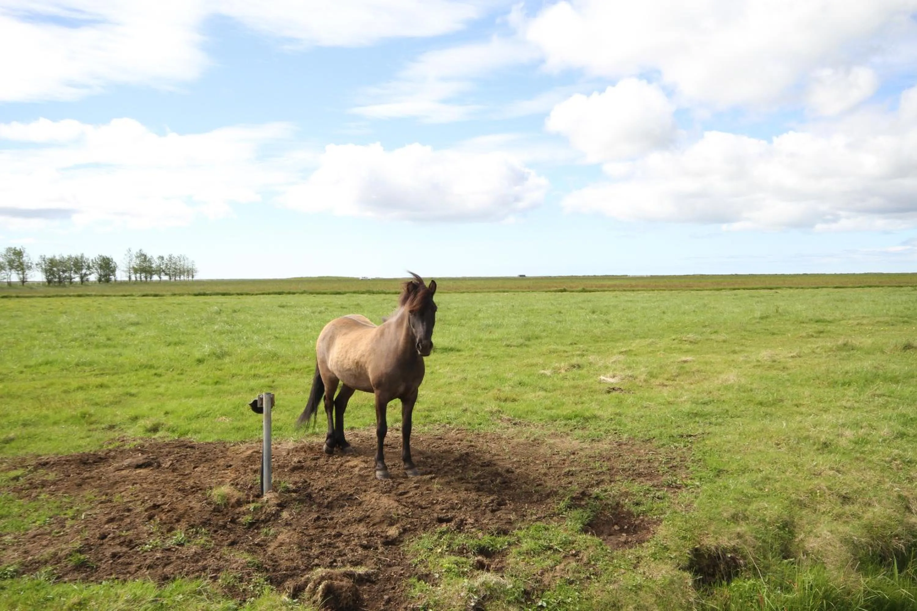 View (from property/room) in Ármót Guesthouse