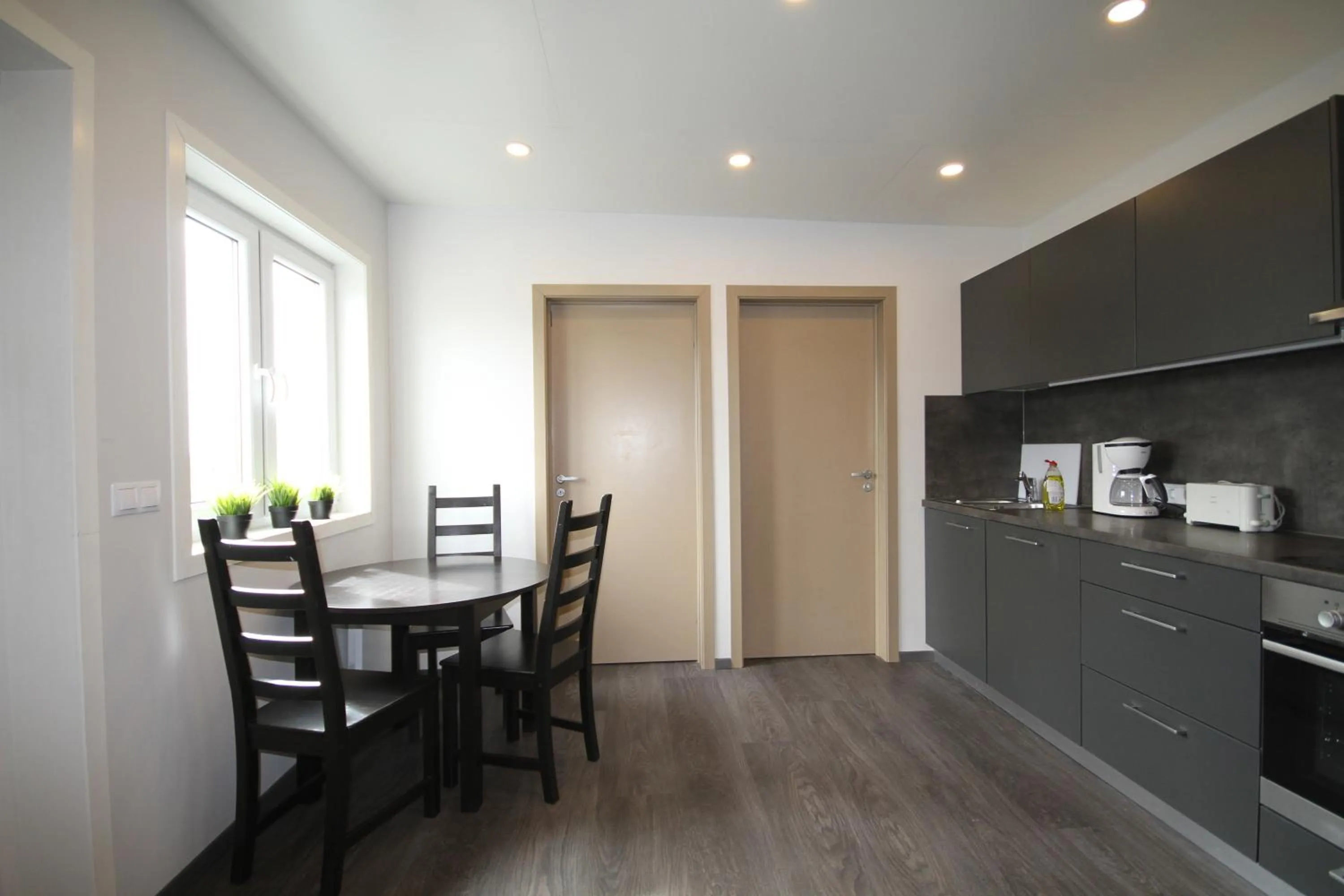 Kitchen or kitchenette in Ármót Guesthouse