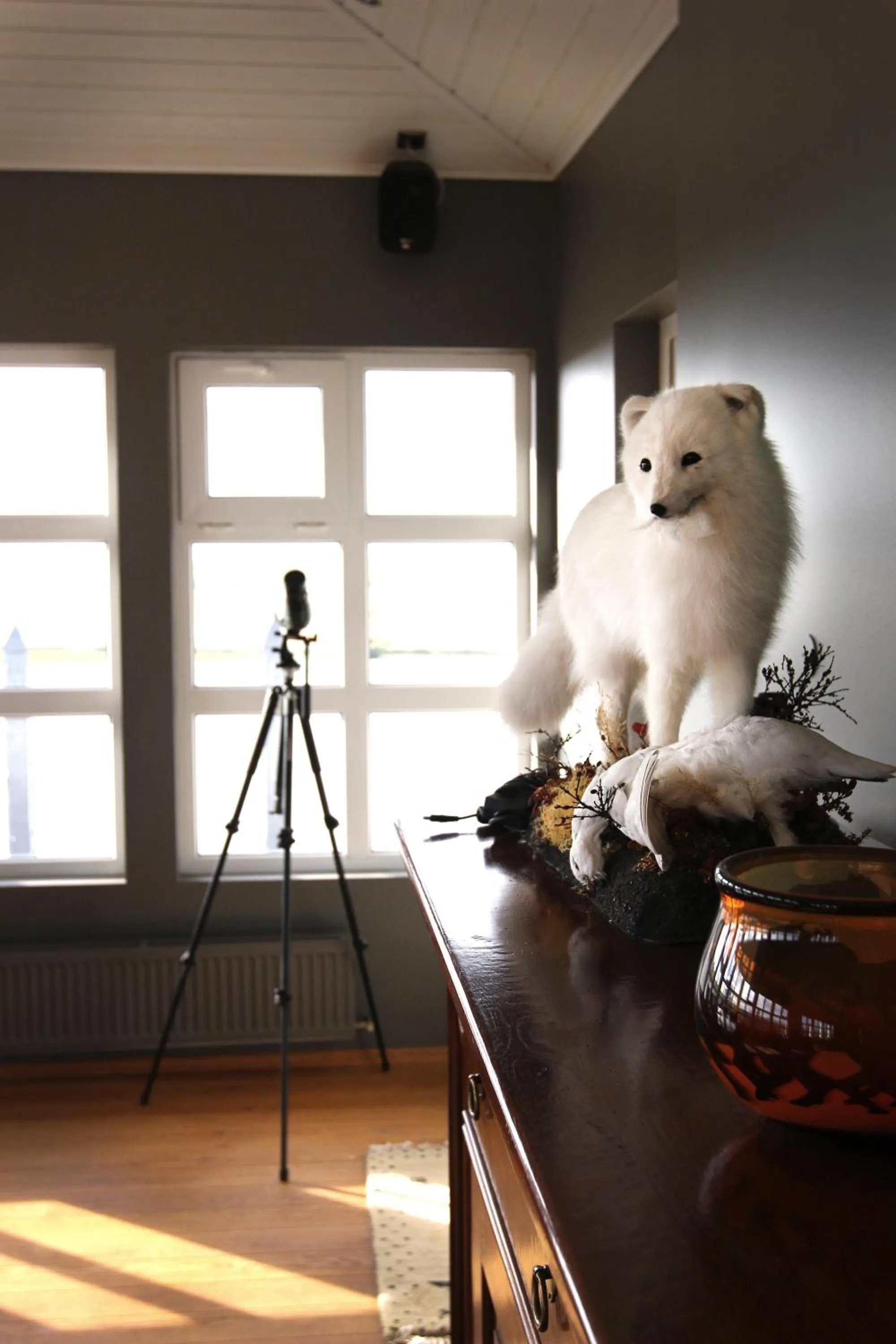 Lounge or bar in Ármót Guesthouse