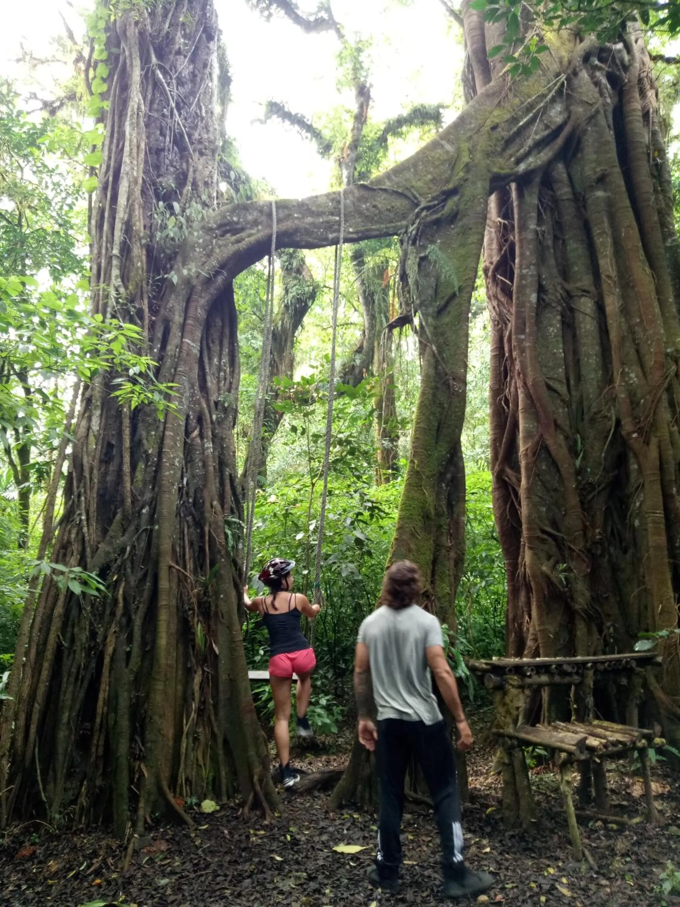 Hiking in Puri Lumbung Cottages Restaurant & Spa Munduk