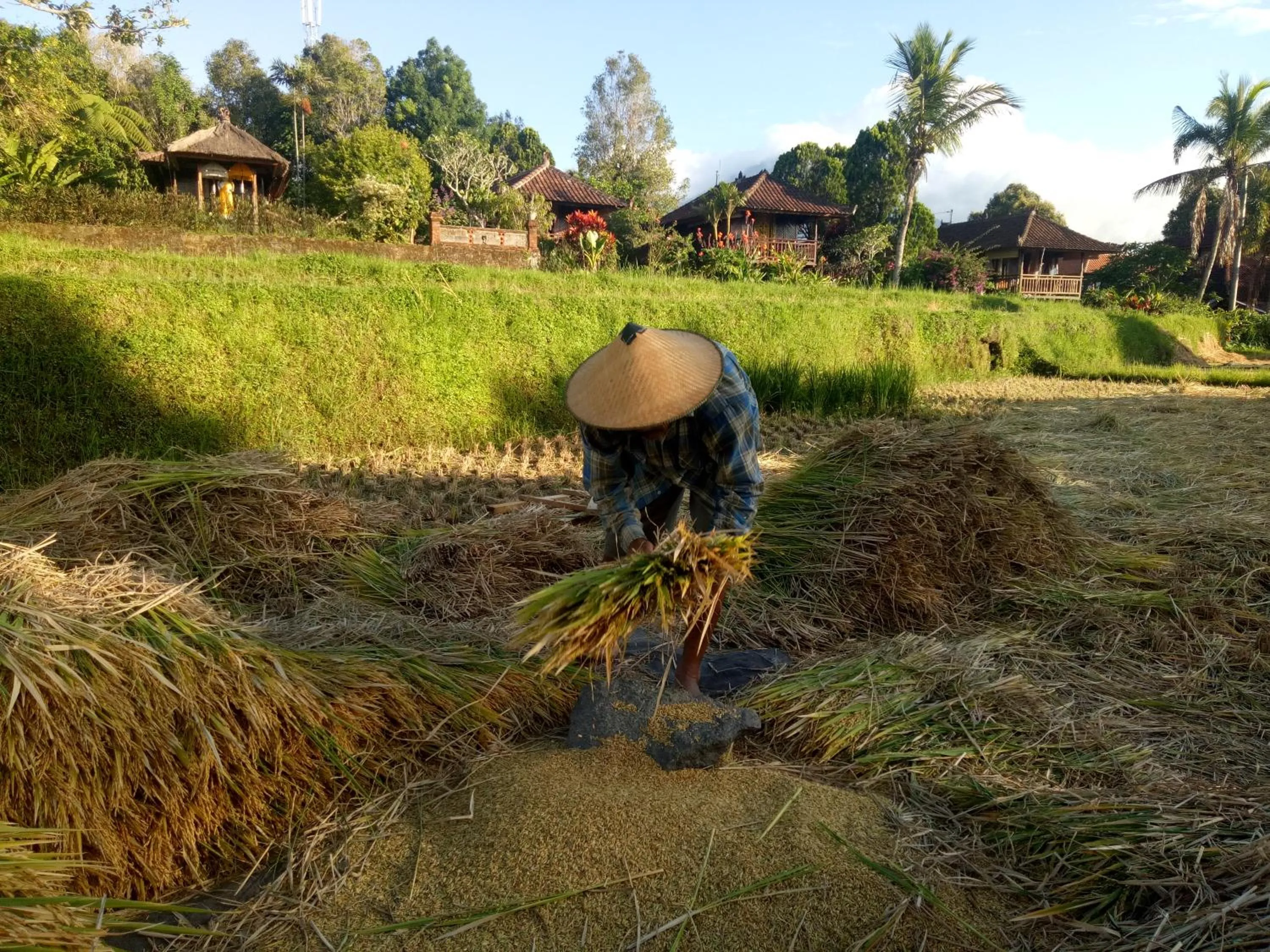 Seasons in Puri Lumbung Cottages Restaurant & Spa Munduk