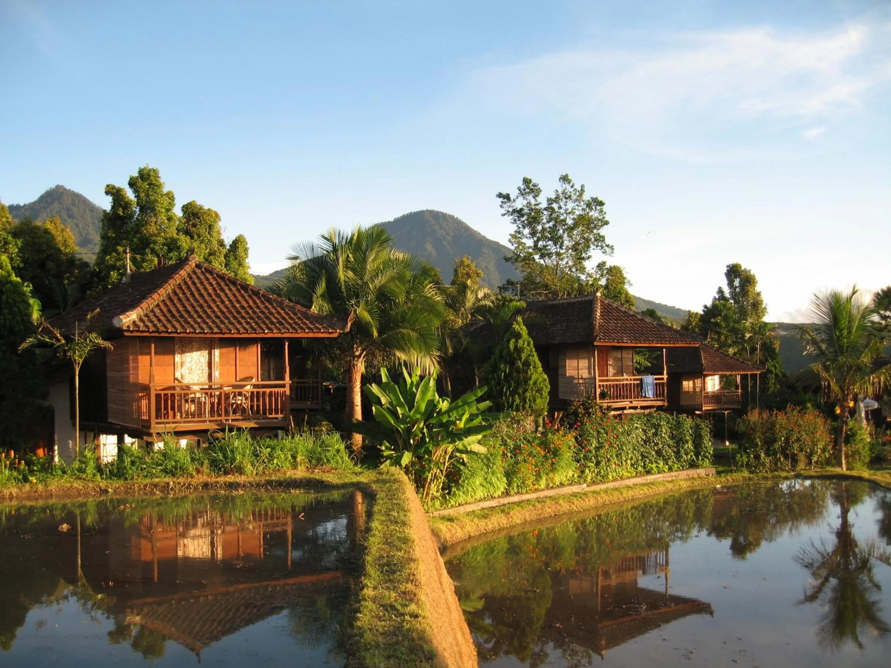 Natural landscape in Puri Lumbung Cottages Restaurant & Spa Munduk