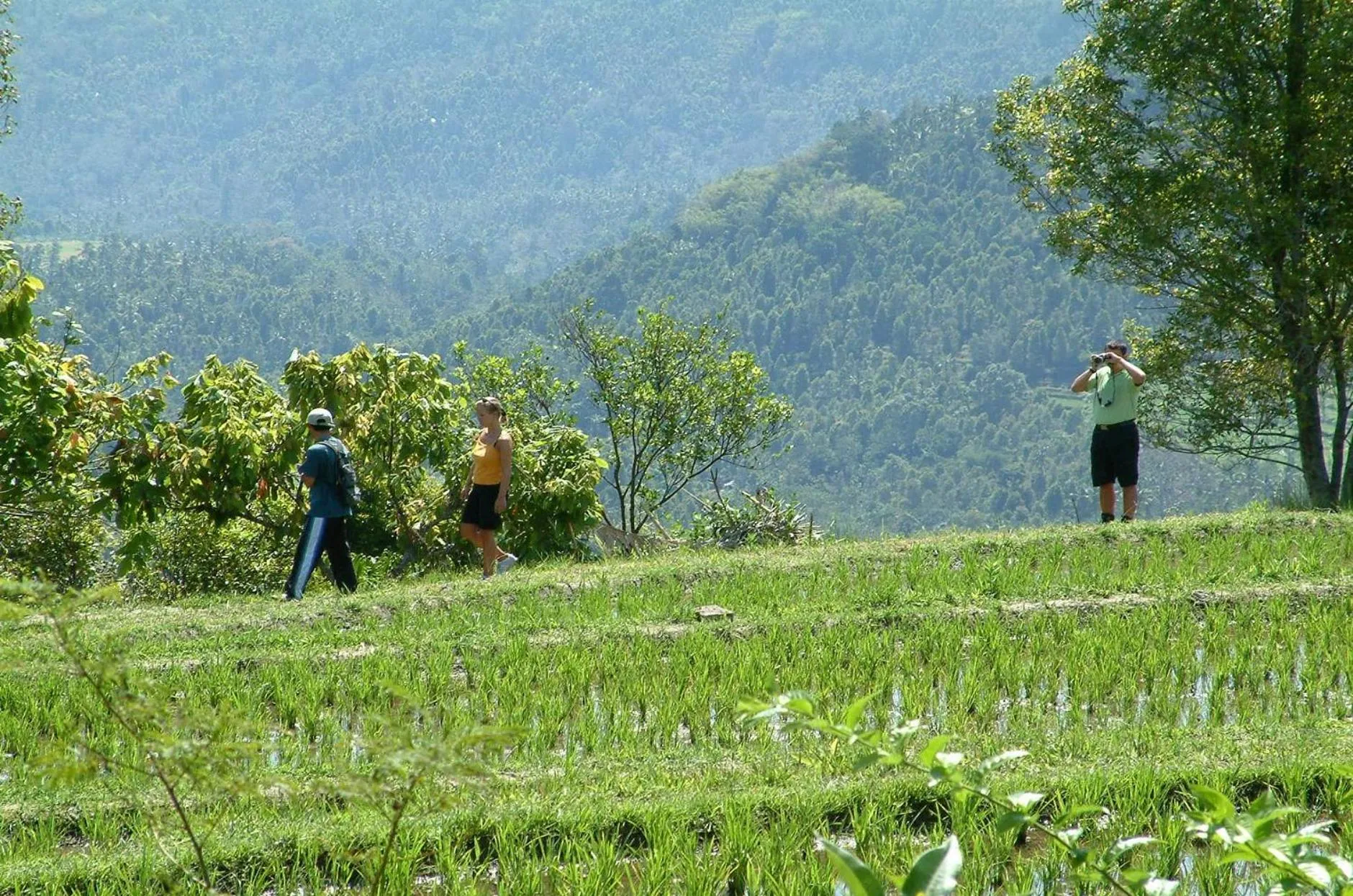 Hiking in Puri Lumbung Cottages Restaurant & Spa Munduk