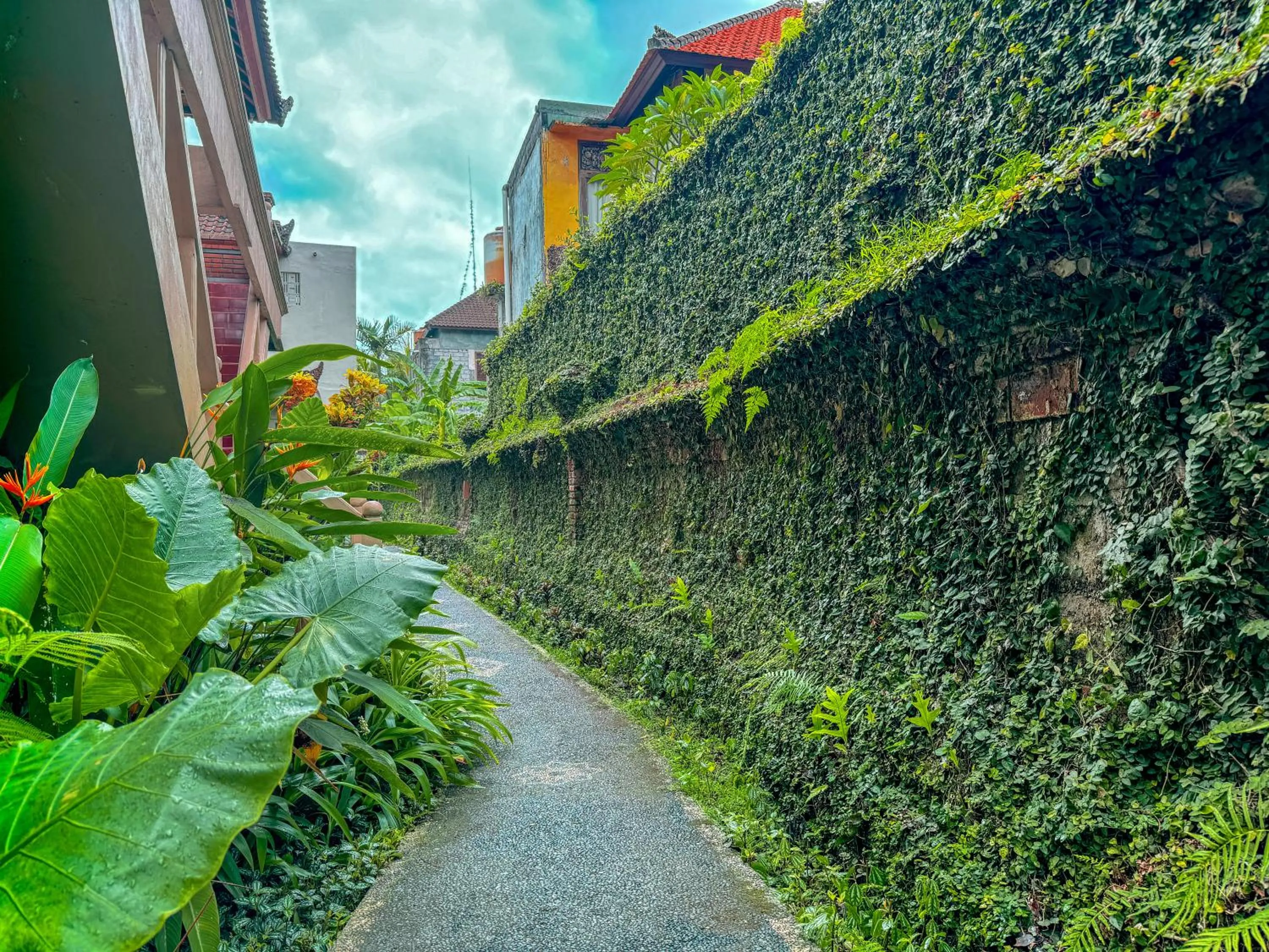 Garden in Garden View Ubud