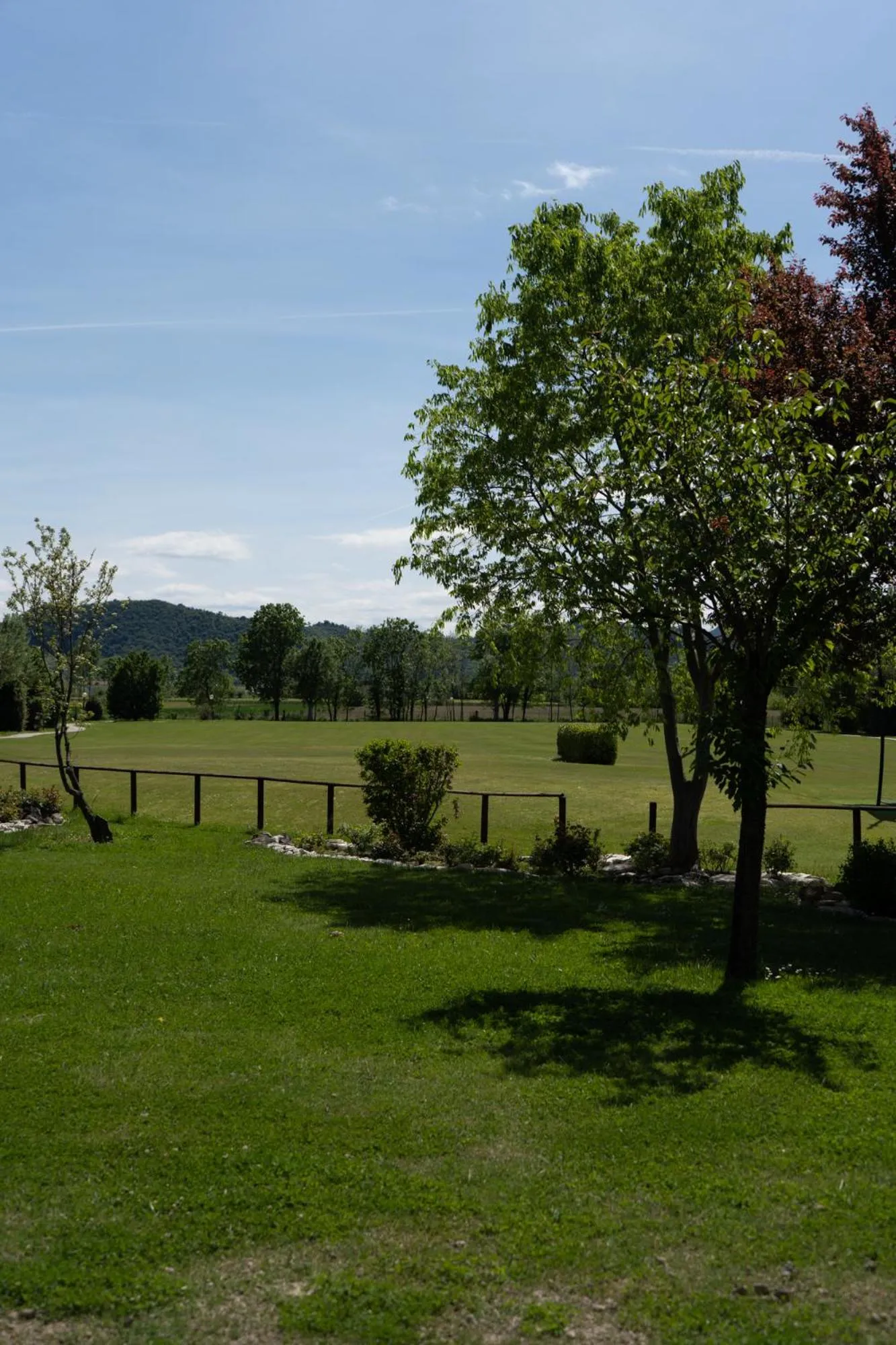 Garden in Hotel Terme Leonardo