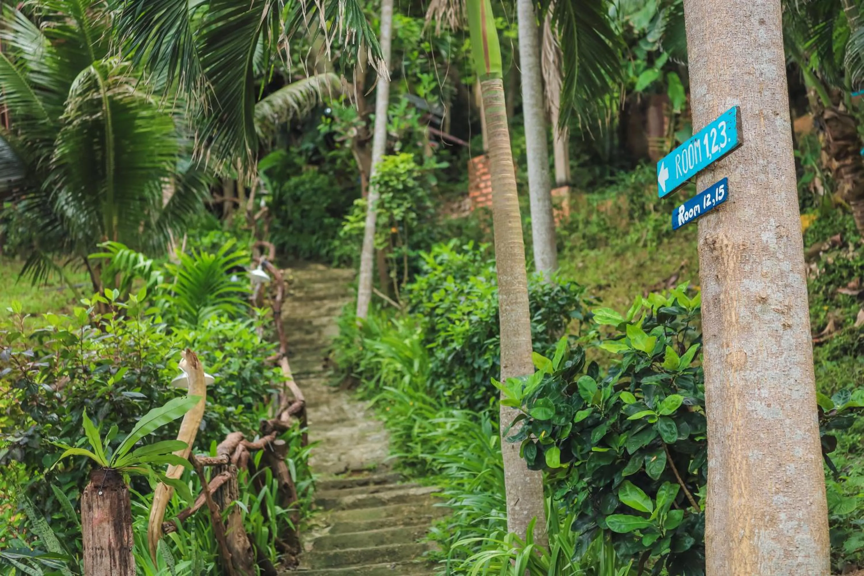 Phi Phi Sunset Bay Resort