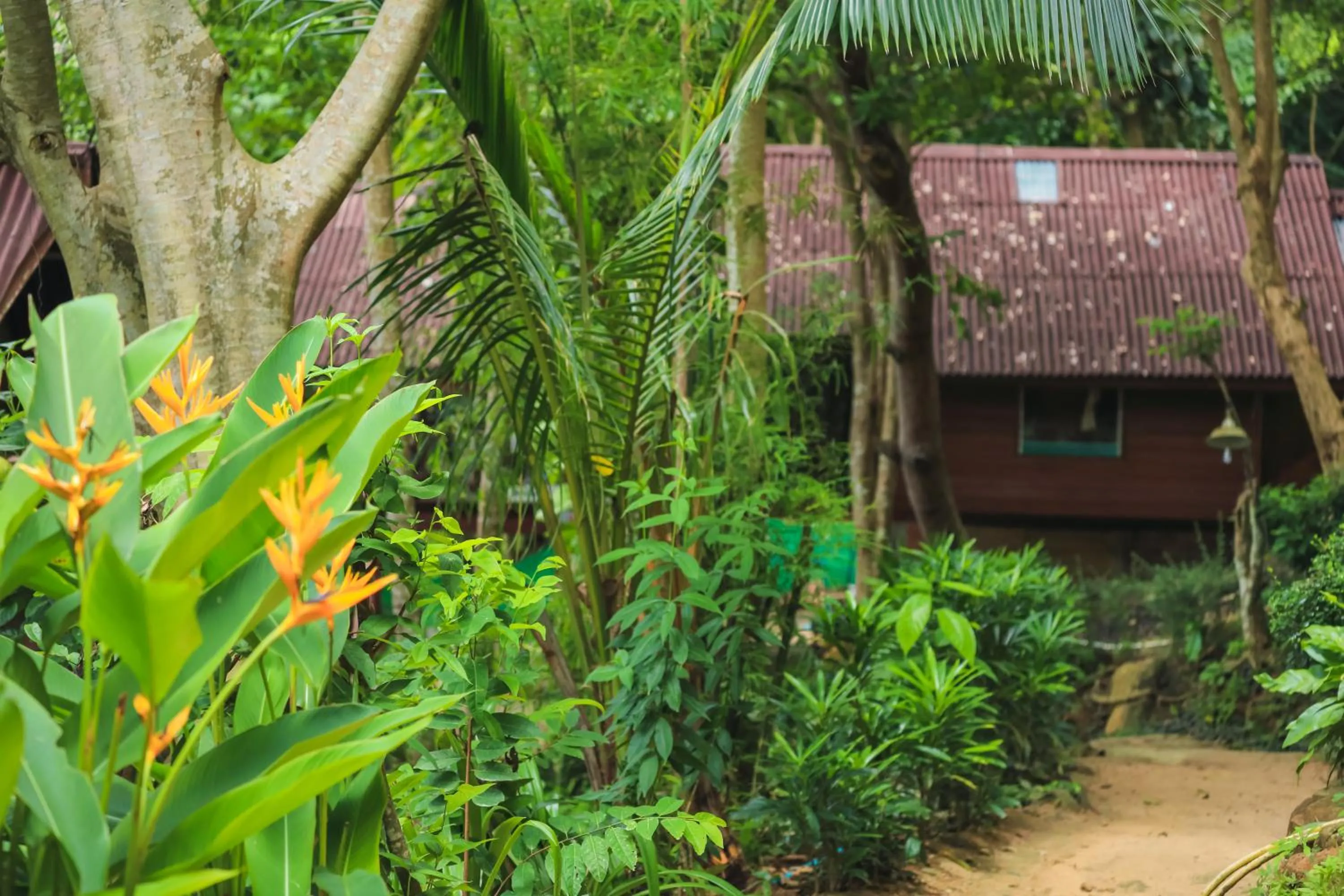 Phi Phi Sunset Bay Resort