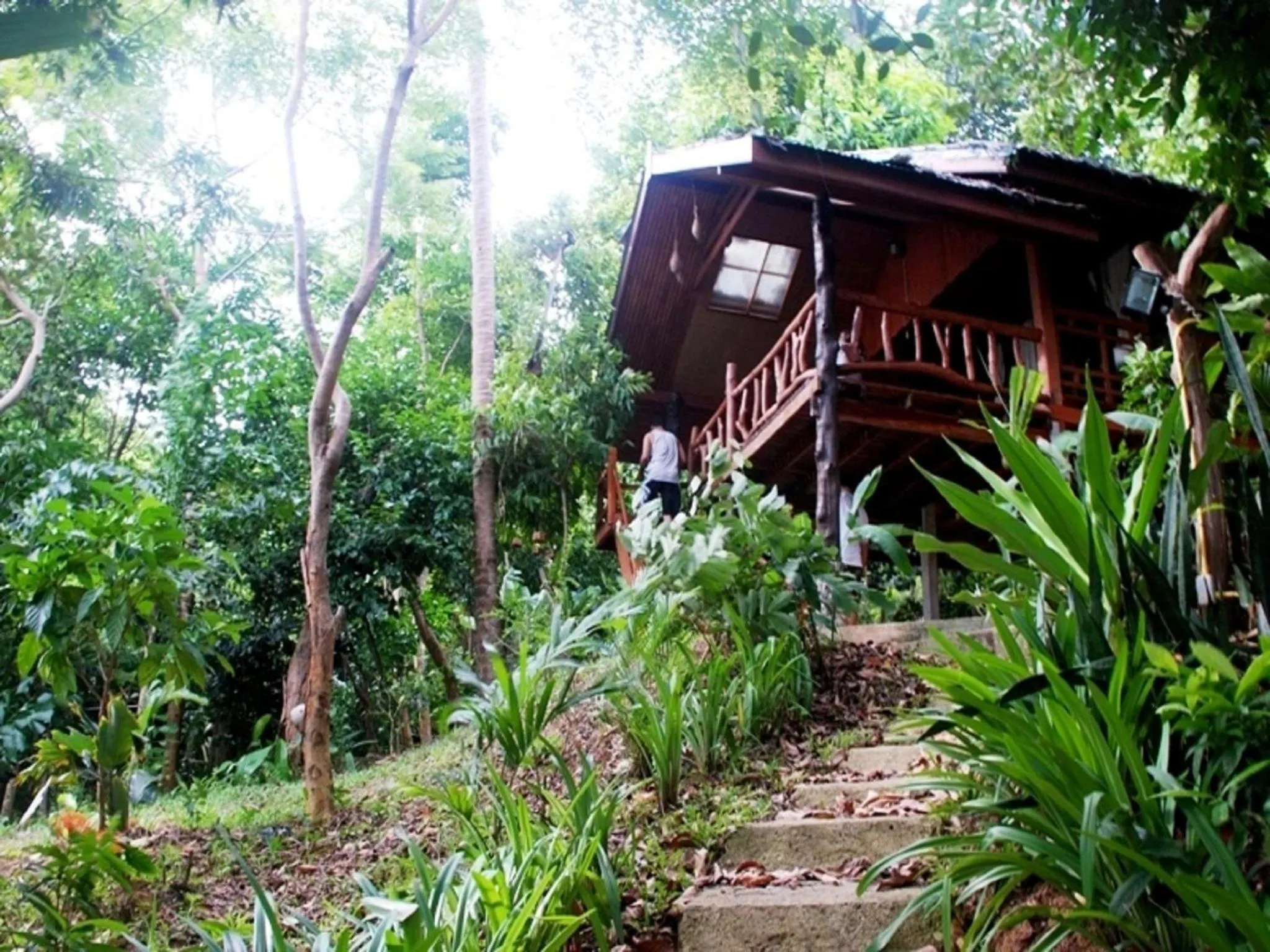 Facade/entrance in Phi Phi Sunset Bay Resort