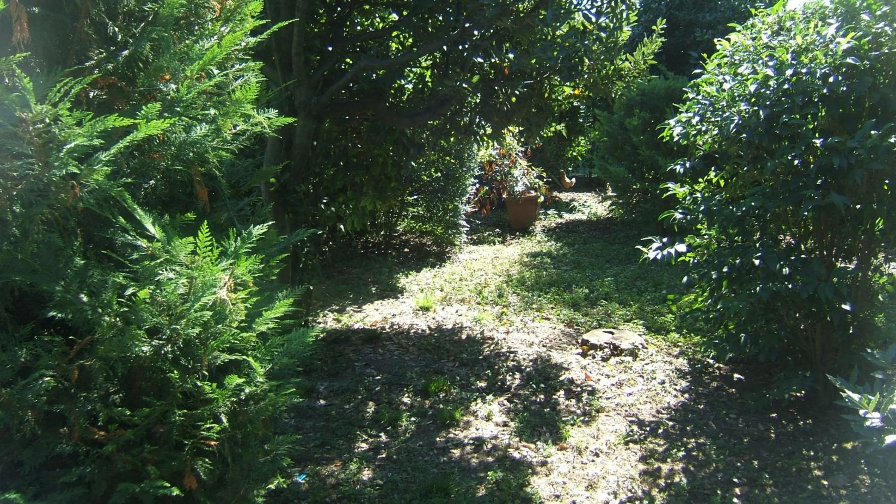 Garden in Locanda Canareggio