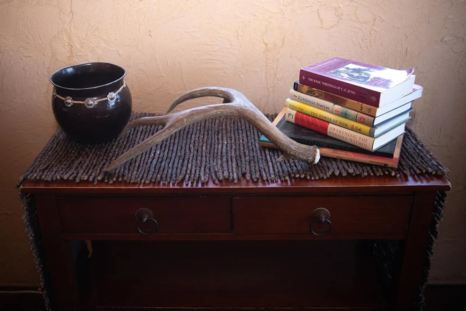 Library in Zion Villa True North