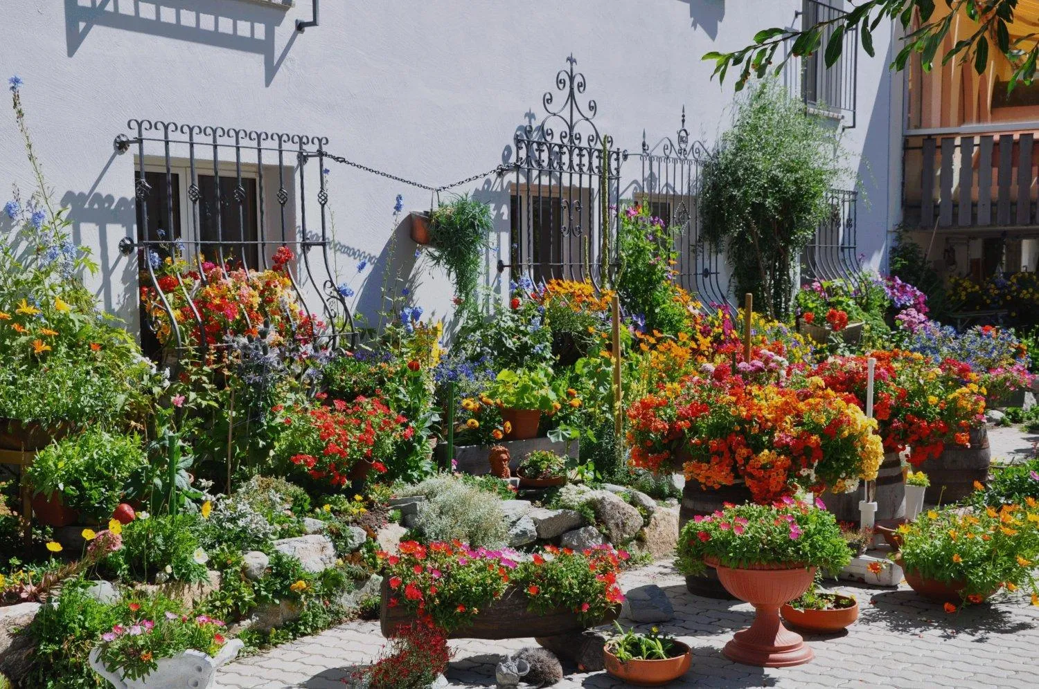 Garden in Hotel Seraina