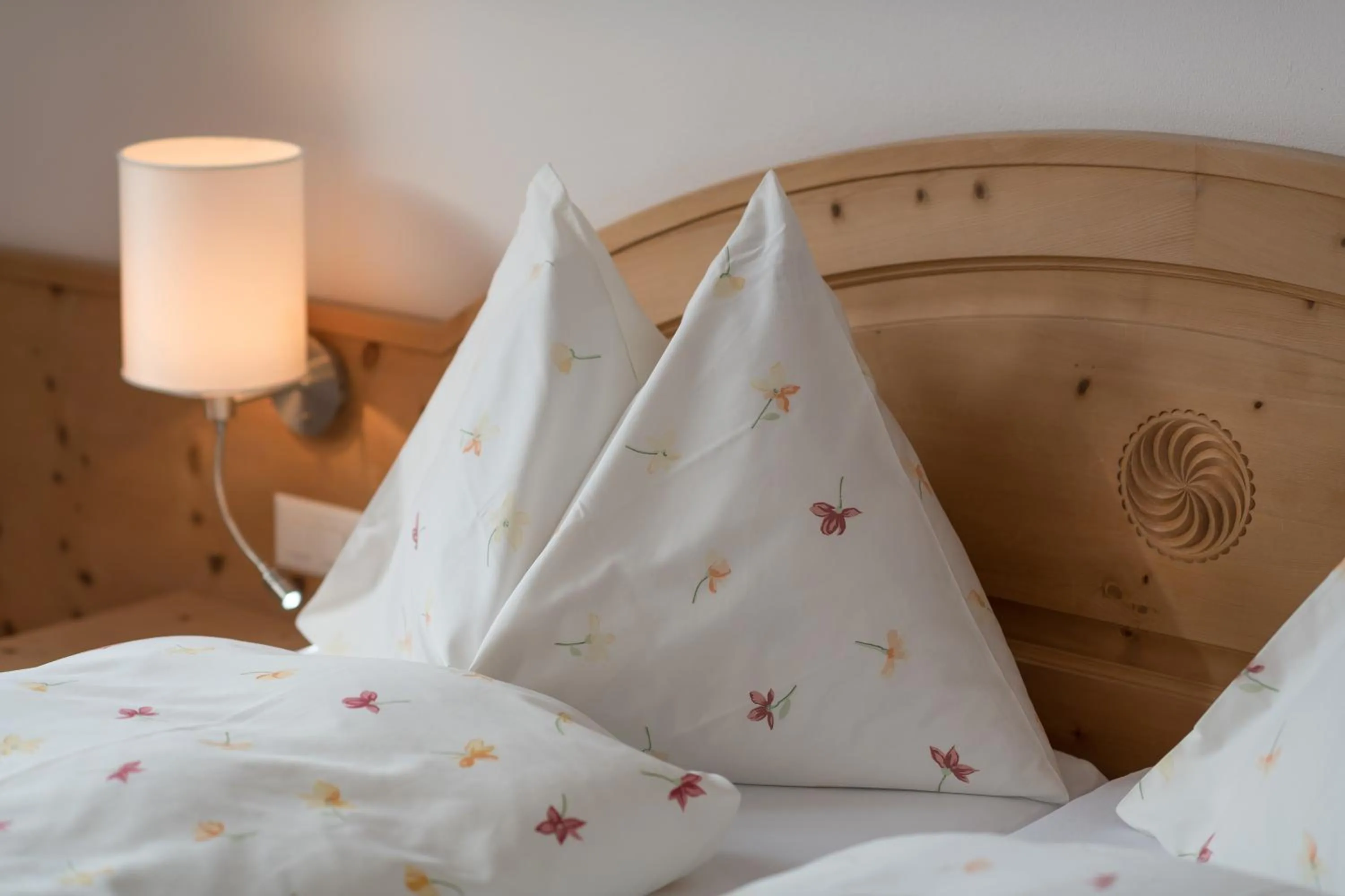 Double Room - single occupancy in Hotel Seraina