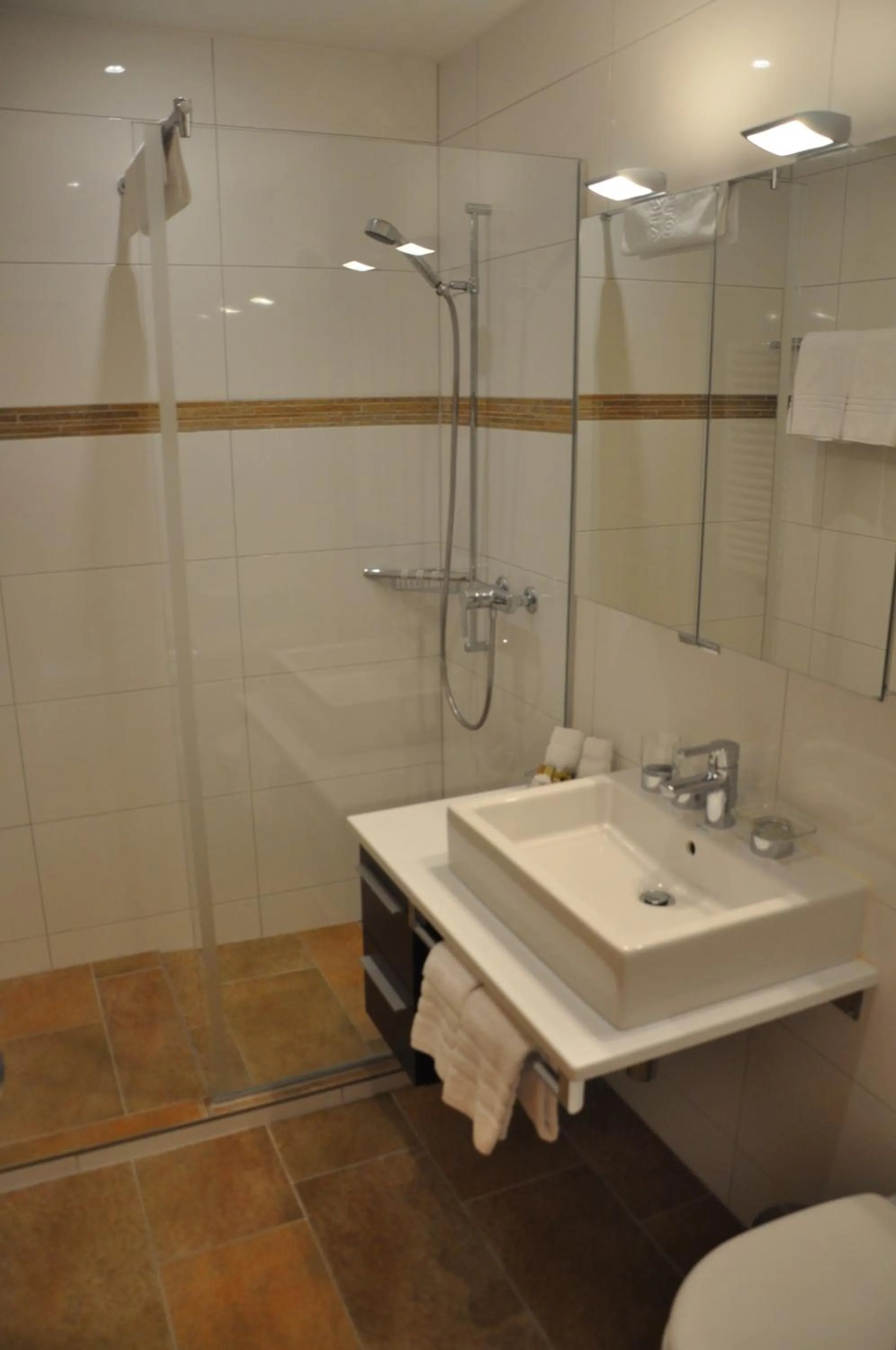 Bathroom in Hotel Seraina