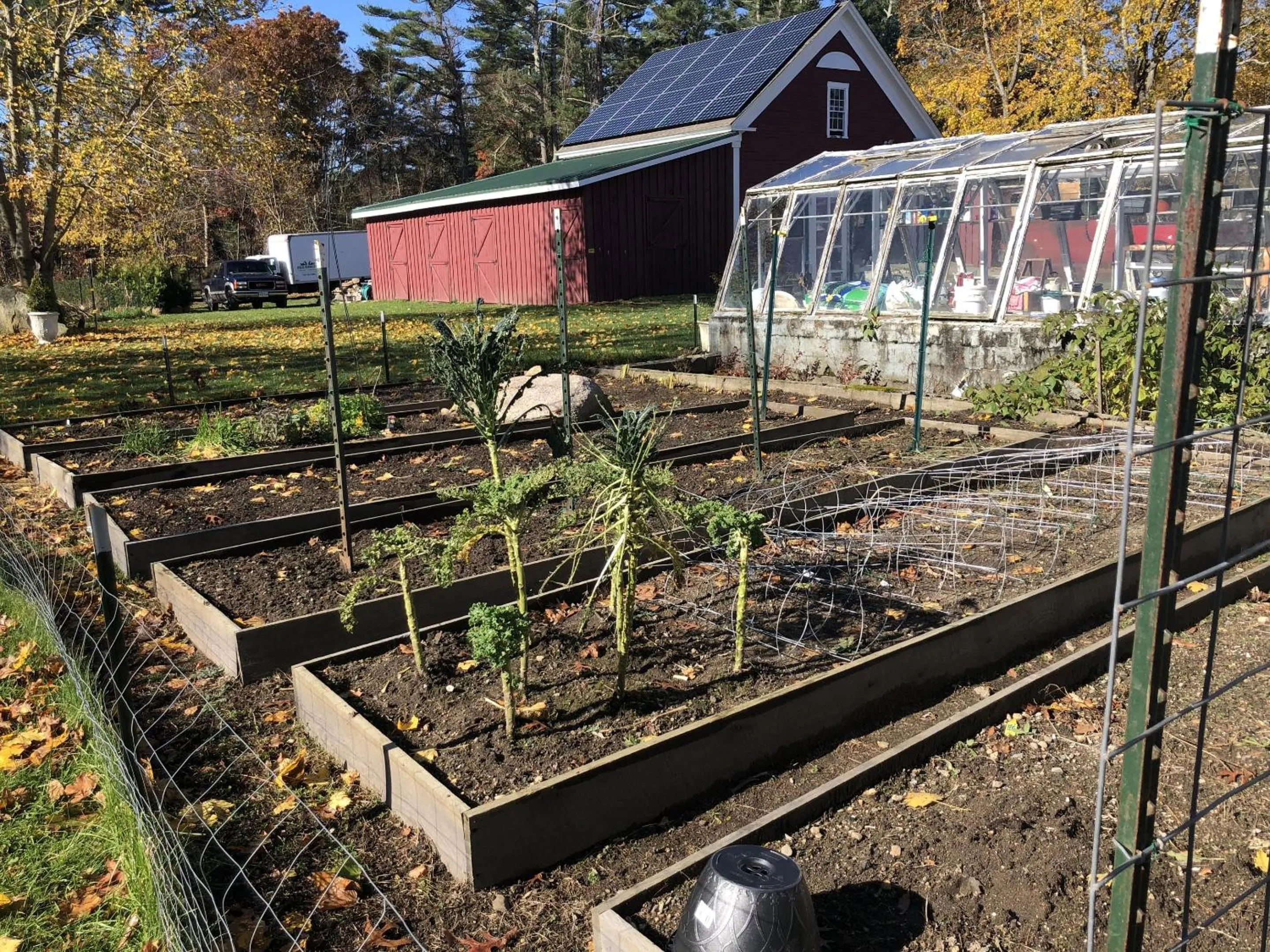 Other in Silvershell Inn