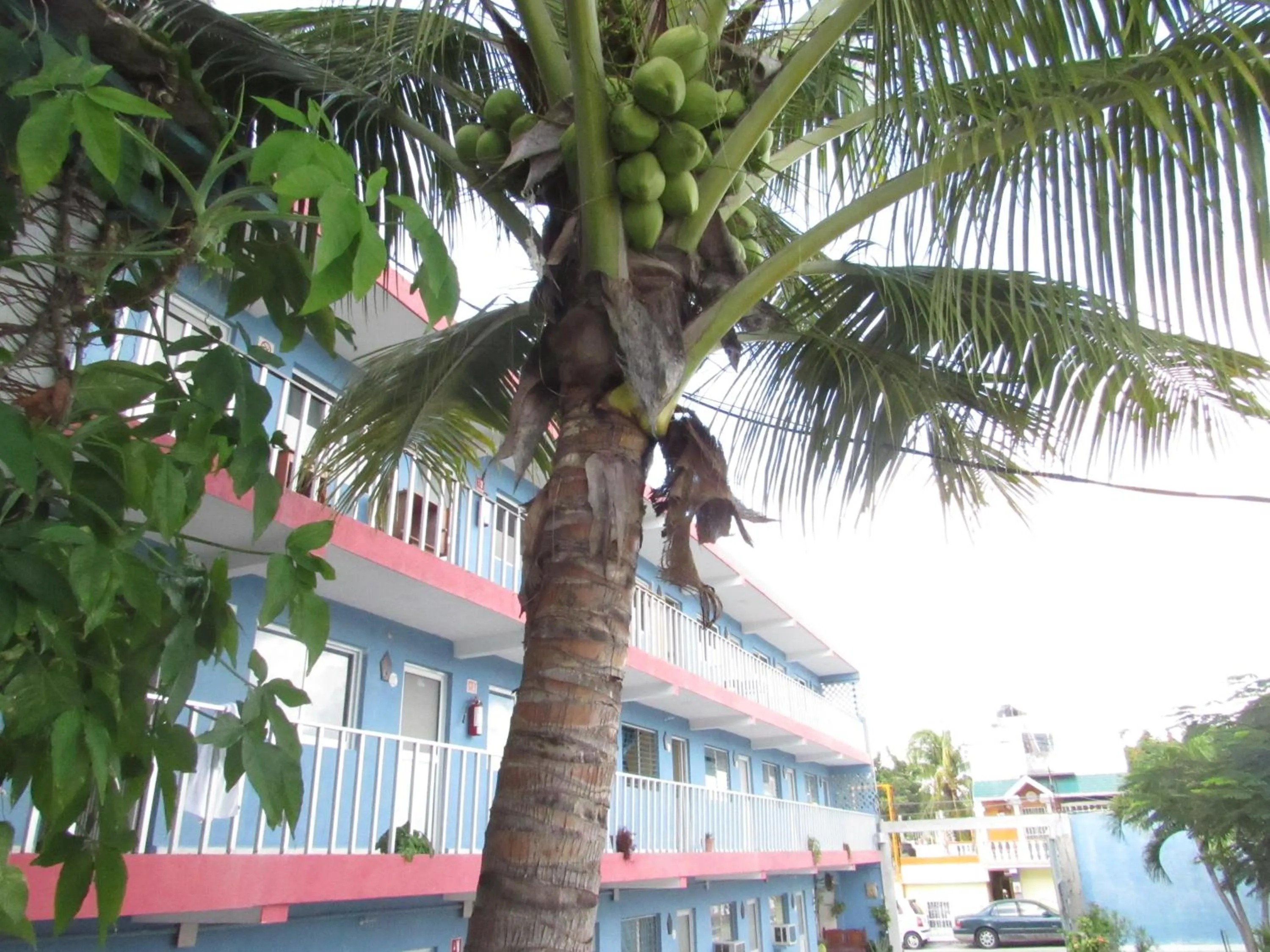 Property building in Blue Coconut Cancun Hotel
