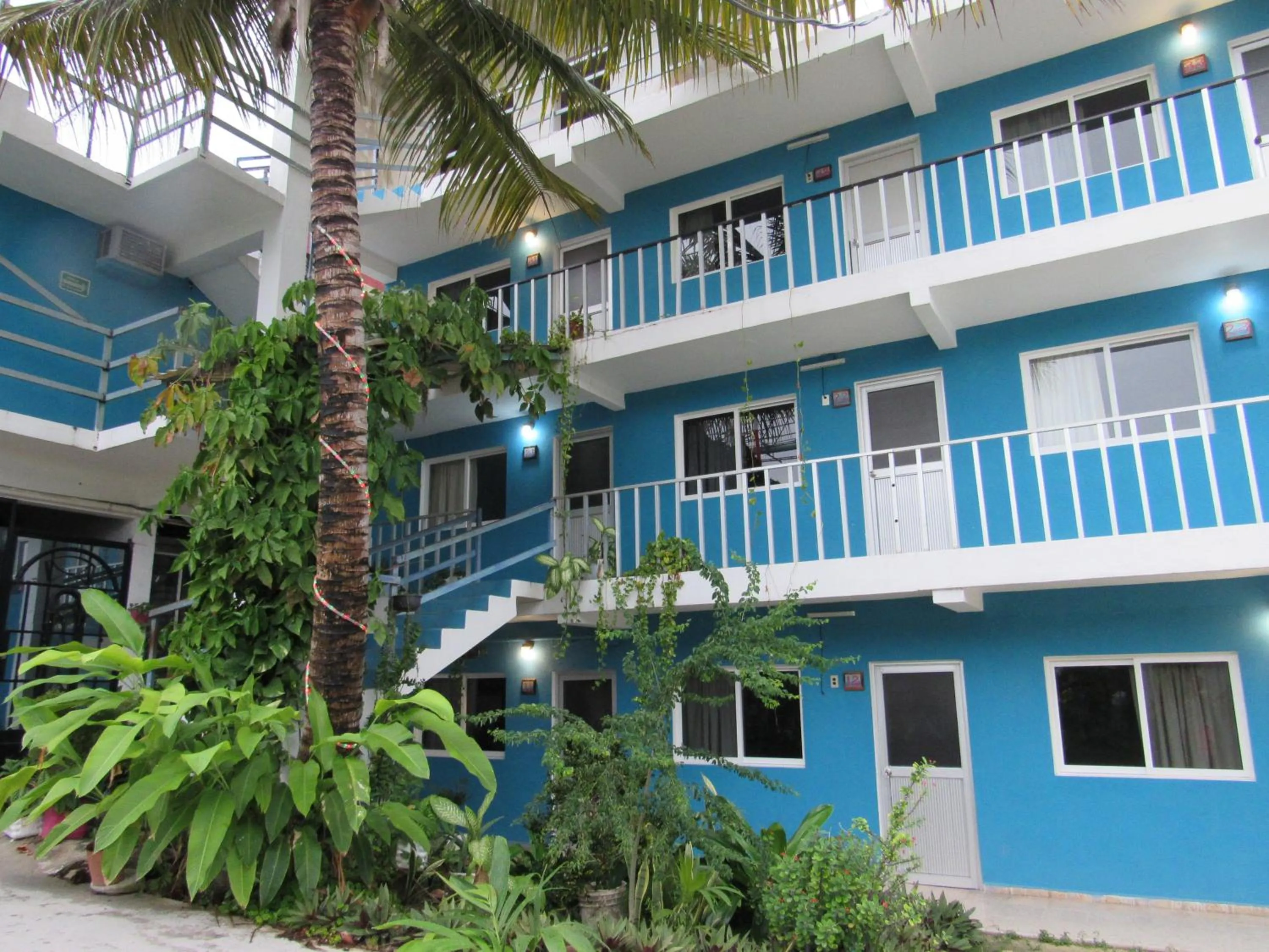 Property building in Blue Coconut Cancun Hotel