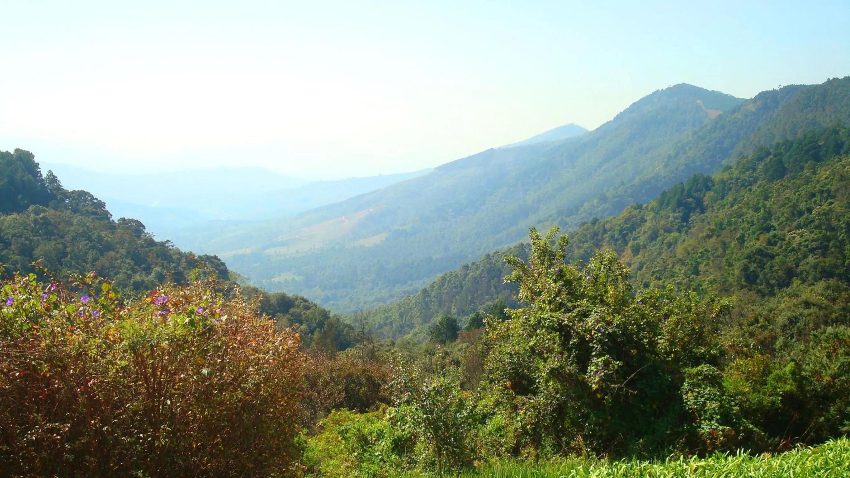 Area and facilities in Magoebaskloof Hotel