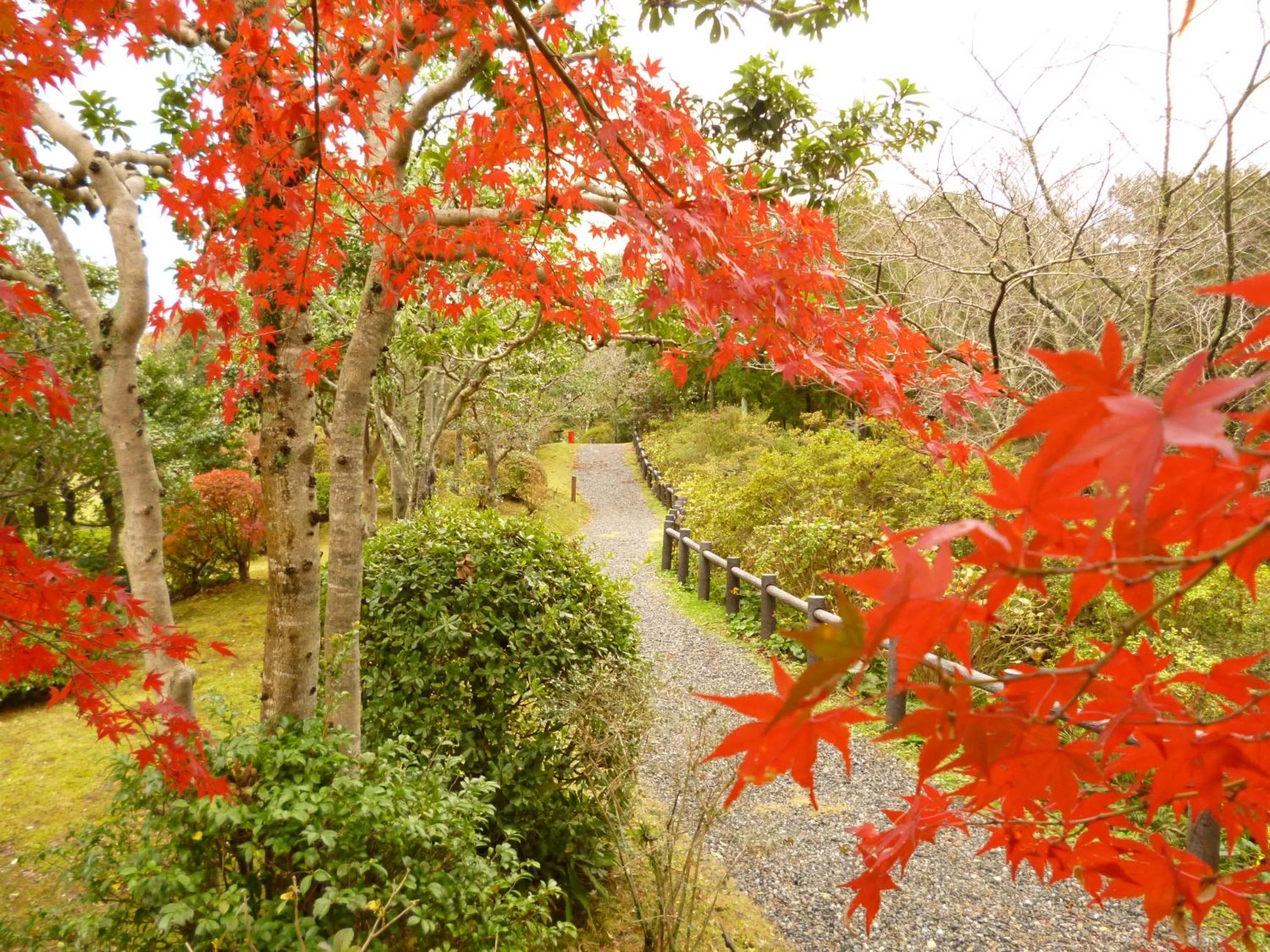 Garden in Yamaha Resort Katsuragi Kitanomaru