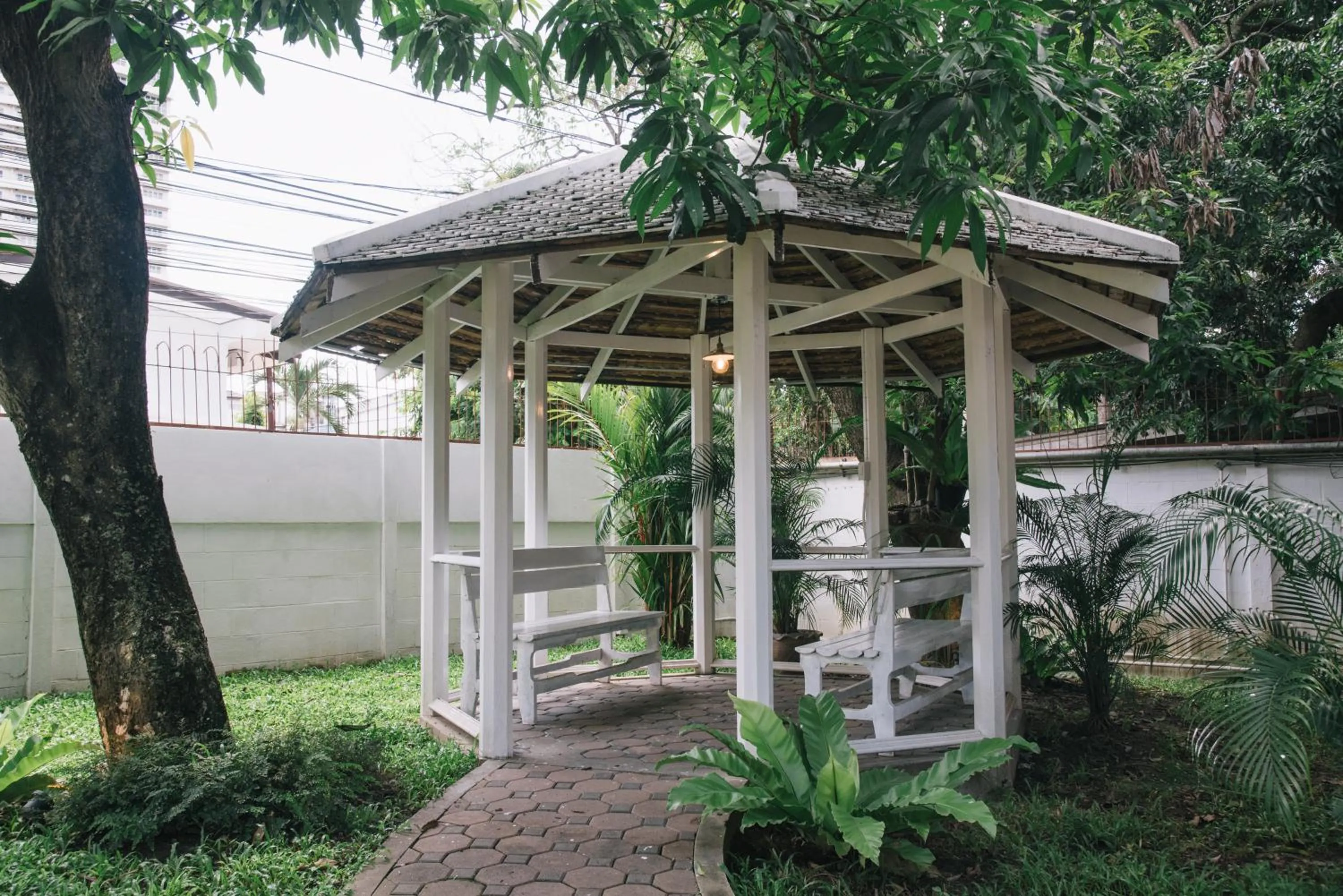 Garden in DoubleTree House