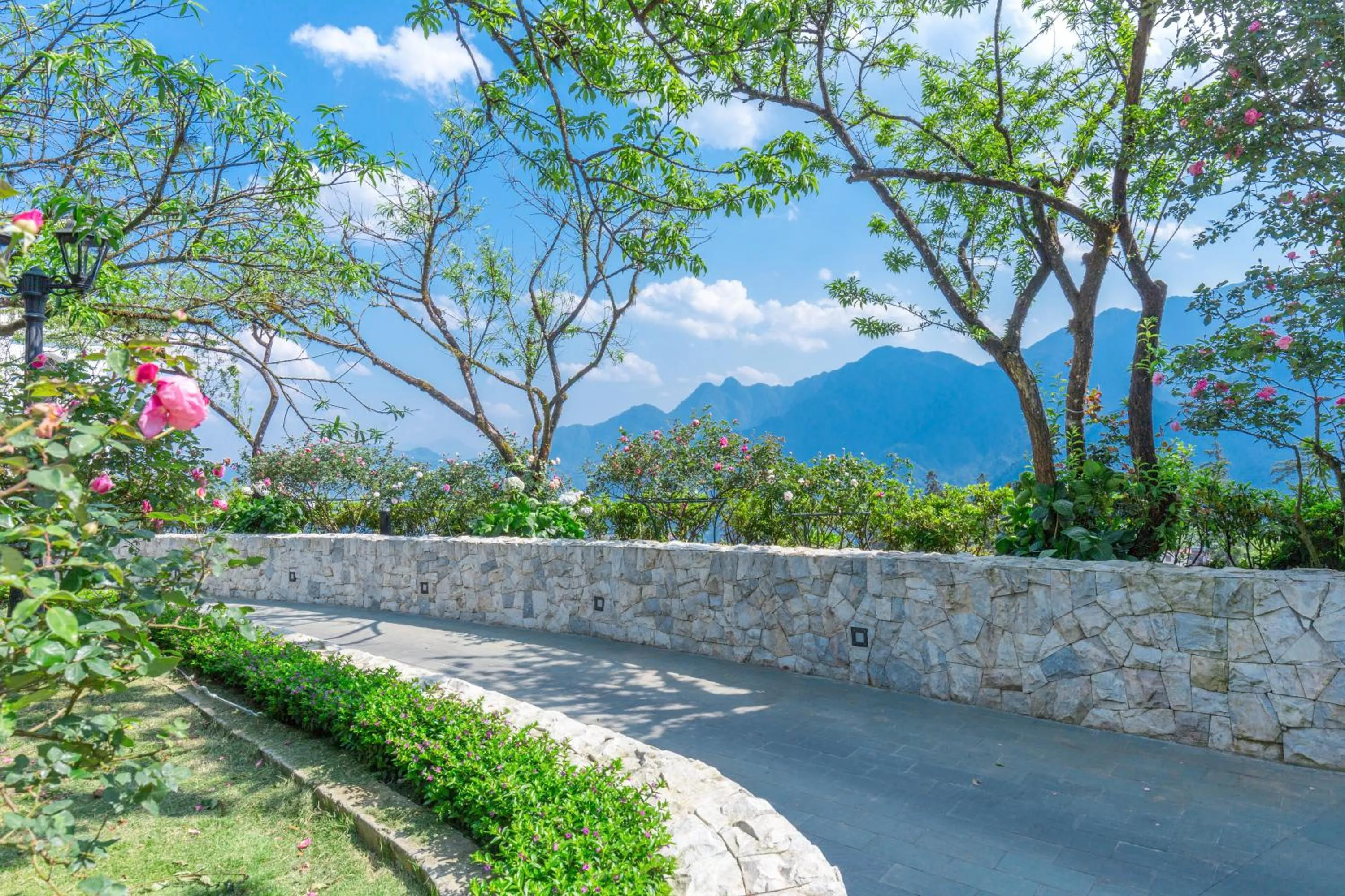 Natural landscape in Silk Path Grand Sapa Resort & Spa