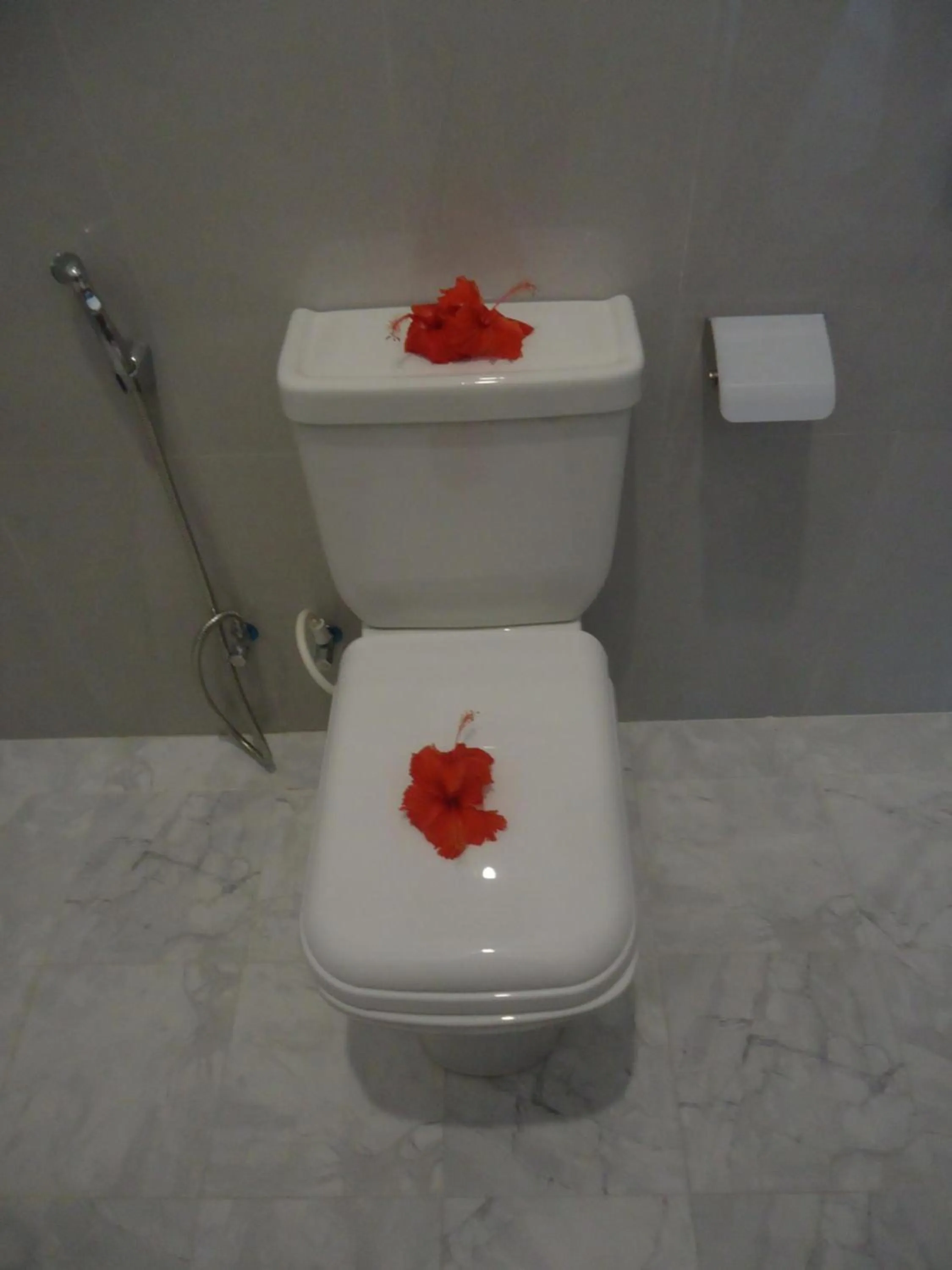 Hiriketiya White House