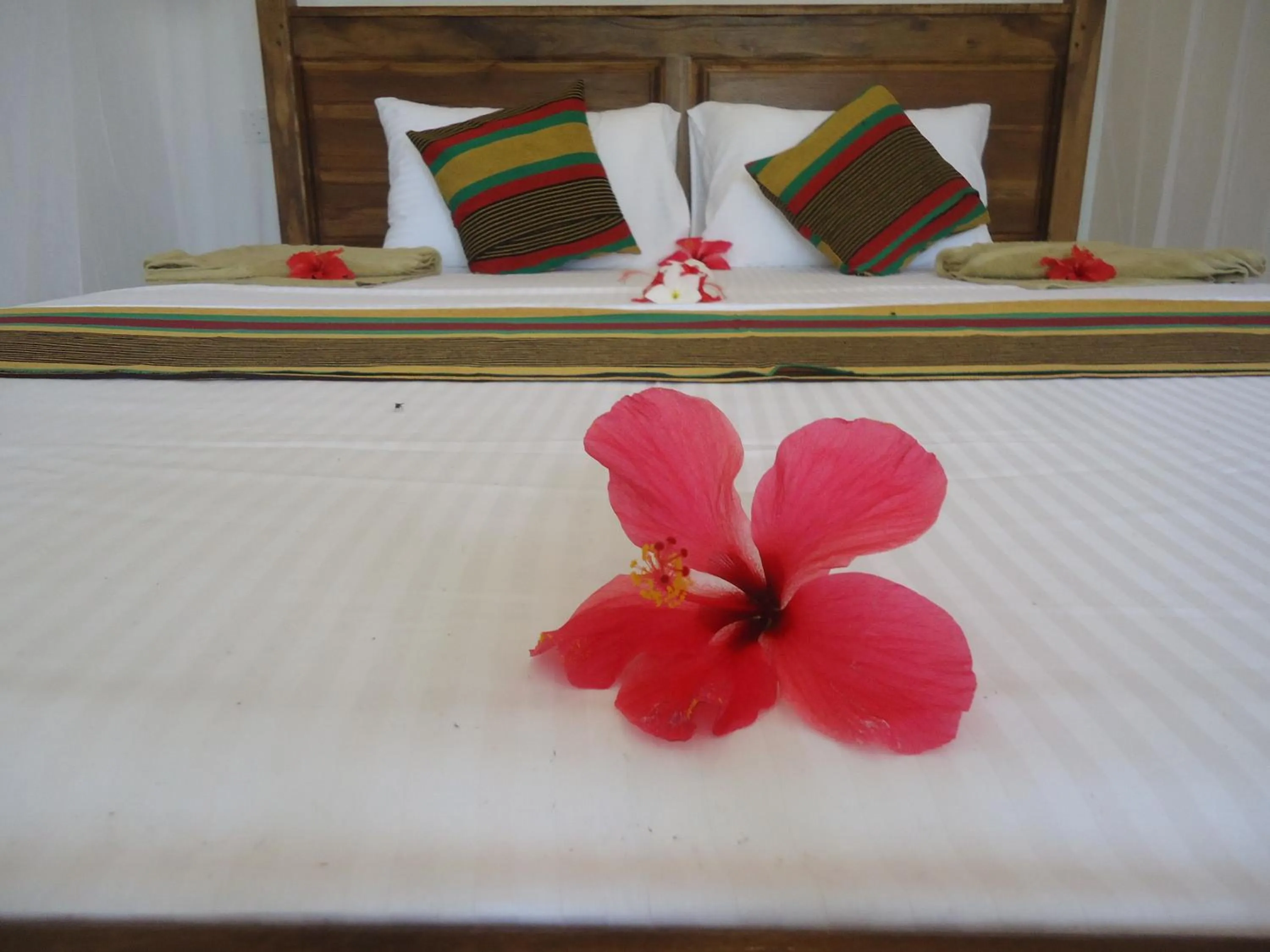 Bed in Hiriketiya White House