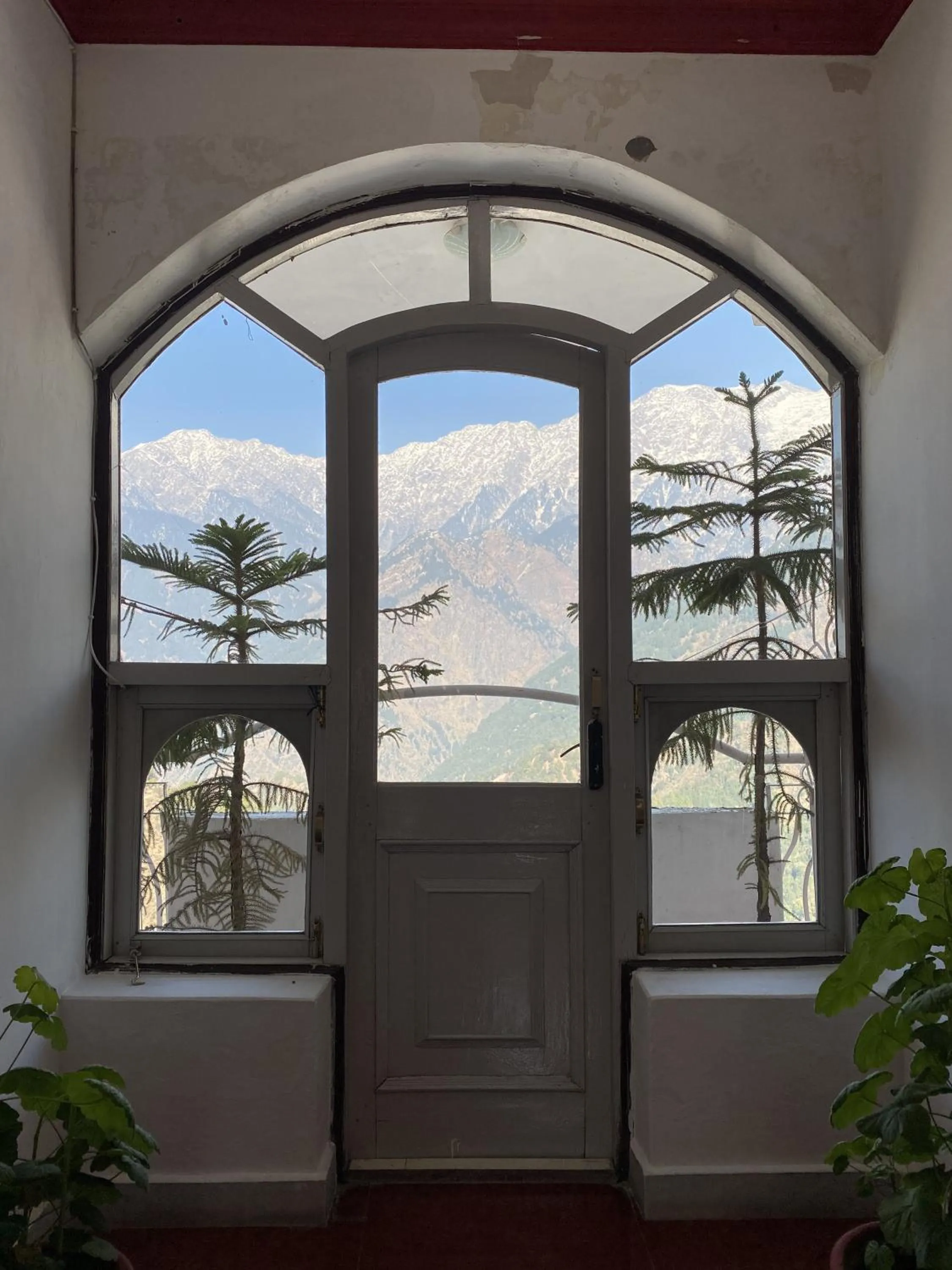 Property building in Hotel Victoriya Palace,Mcleod Ganj