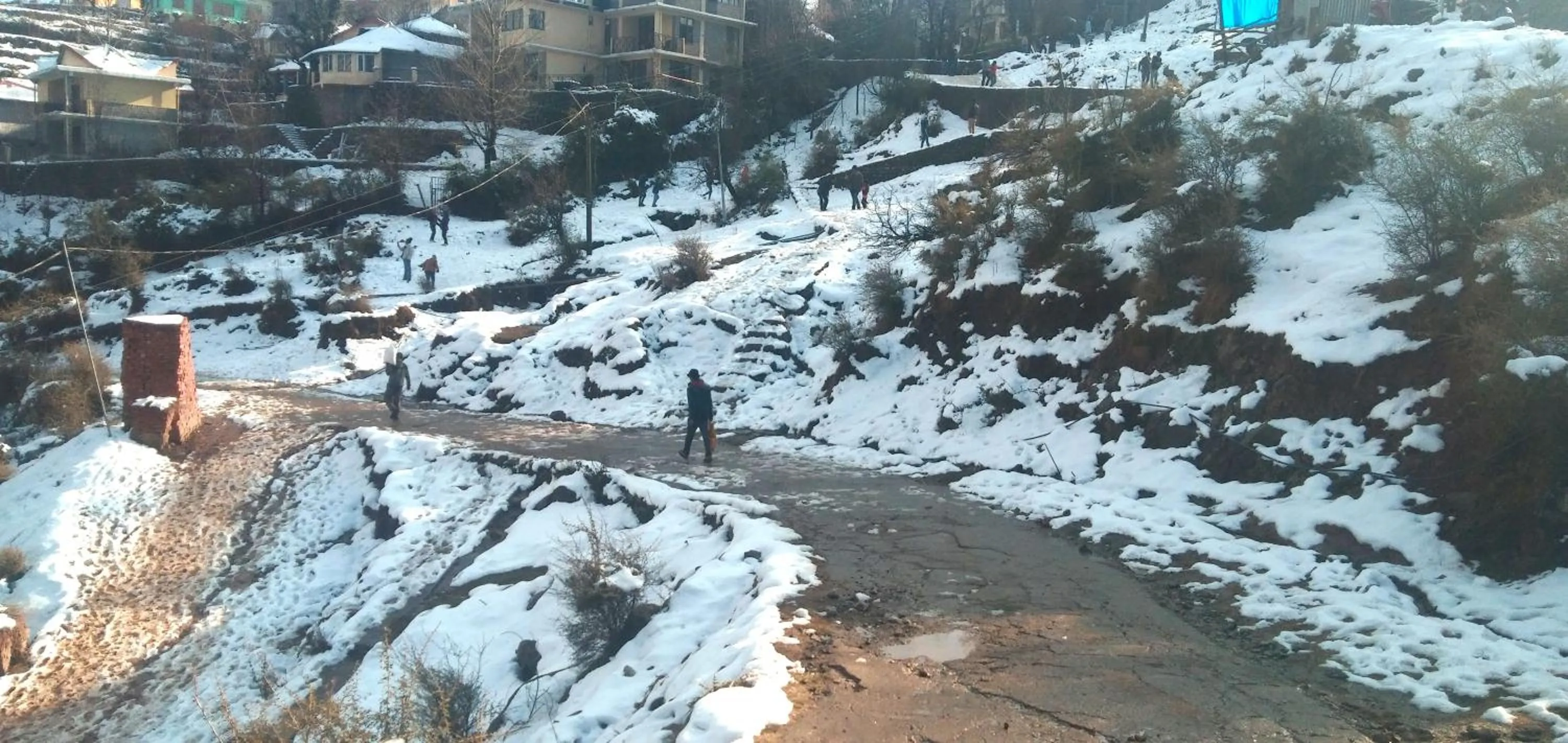Natural landscape in Hotel Victoriya Palace,Mcleod Ganj