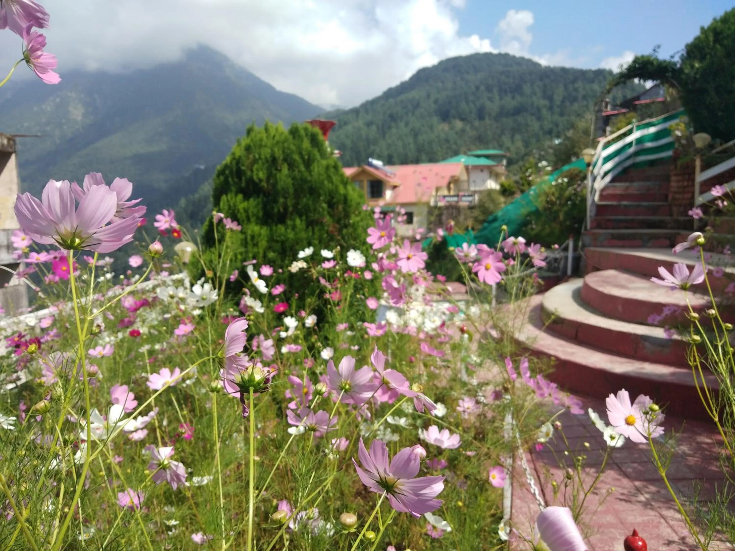 Mountain view in Hotel Victoriya Palace,Mcleod Ganj