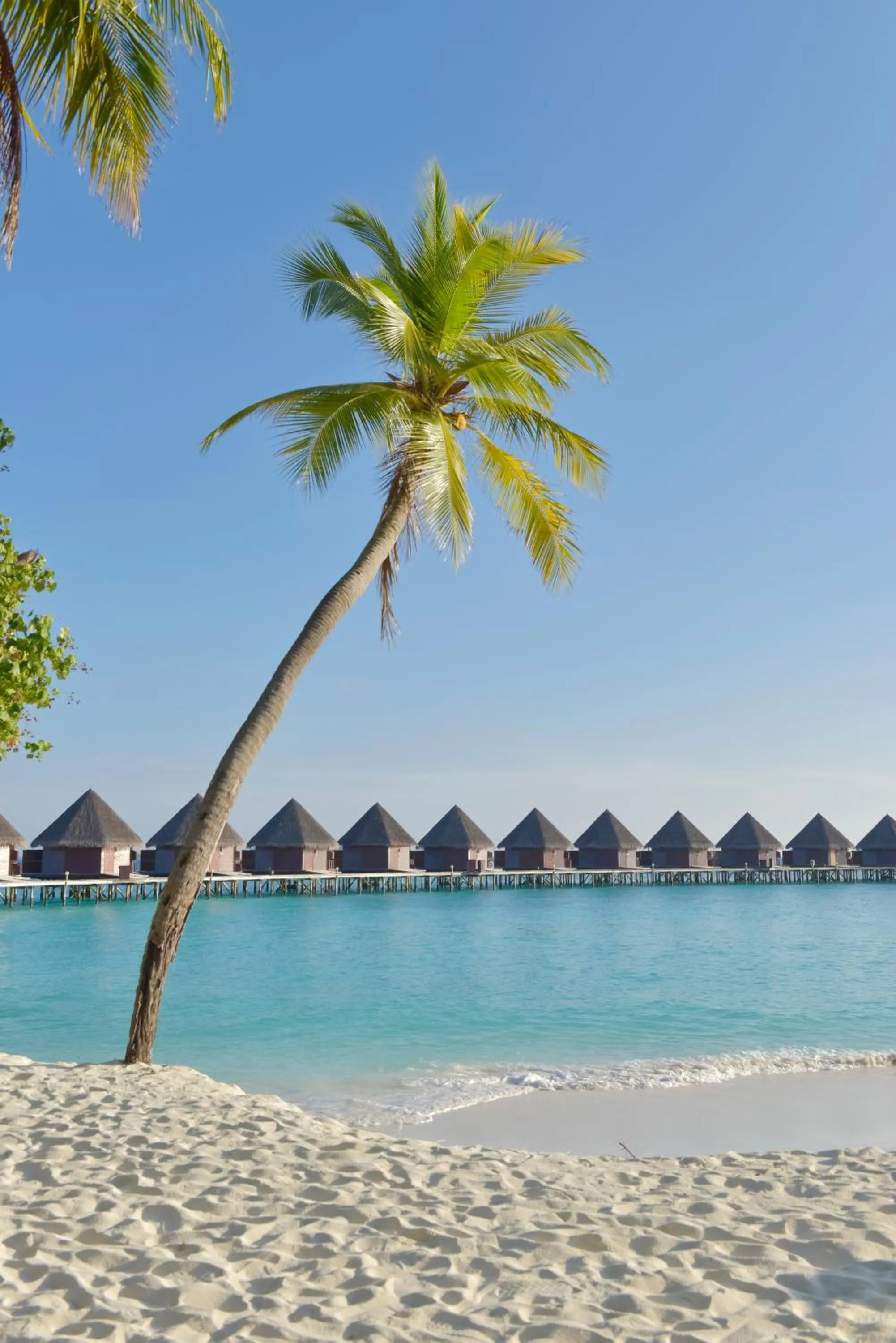 Beach in Thulhagiri Island Resort & Spa