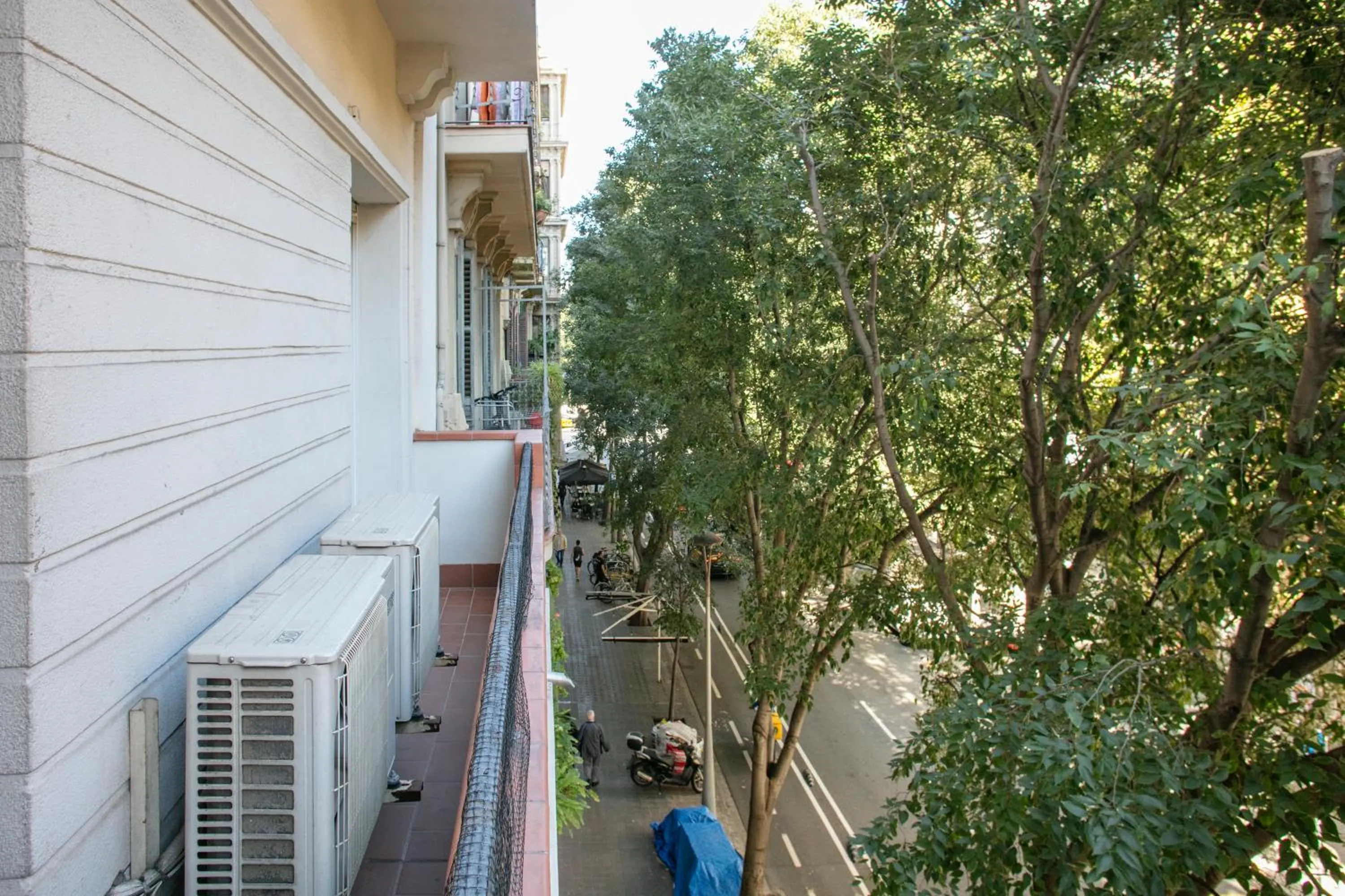 Day in Alcam Calabria