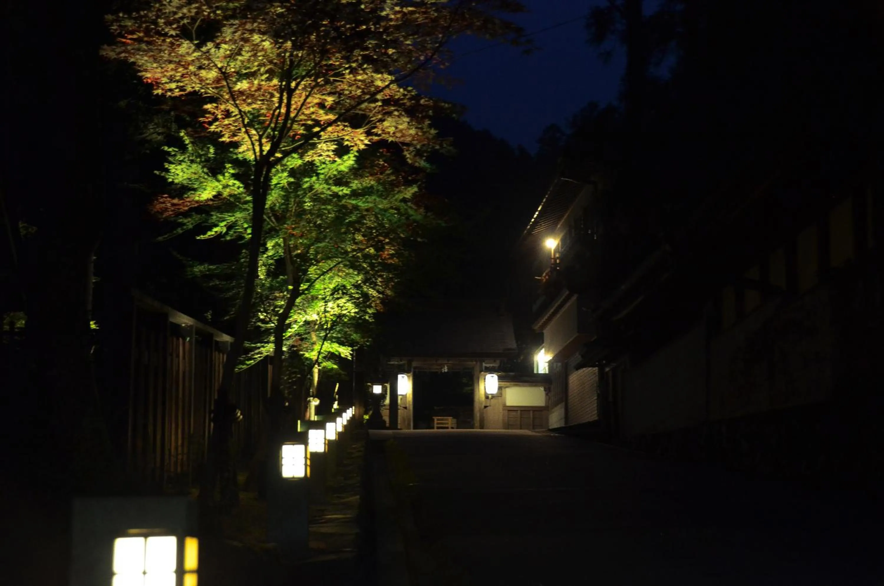 Facade/entrance in 高野山 宿坊 不動院 -Koyasan Shukubo Fudoin-