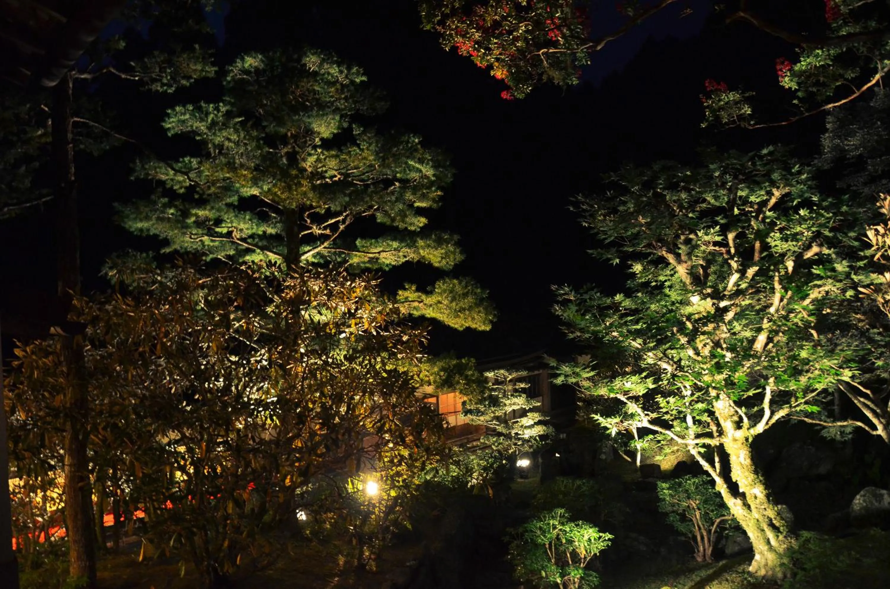 View (from property/room) in 高野山 宿坊 不動院 -Koyasan Shukubo Fudoin-