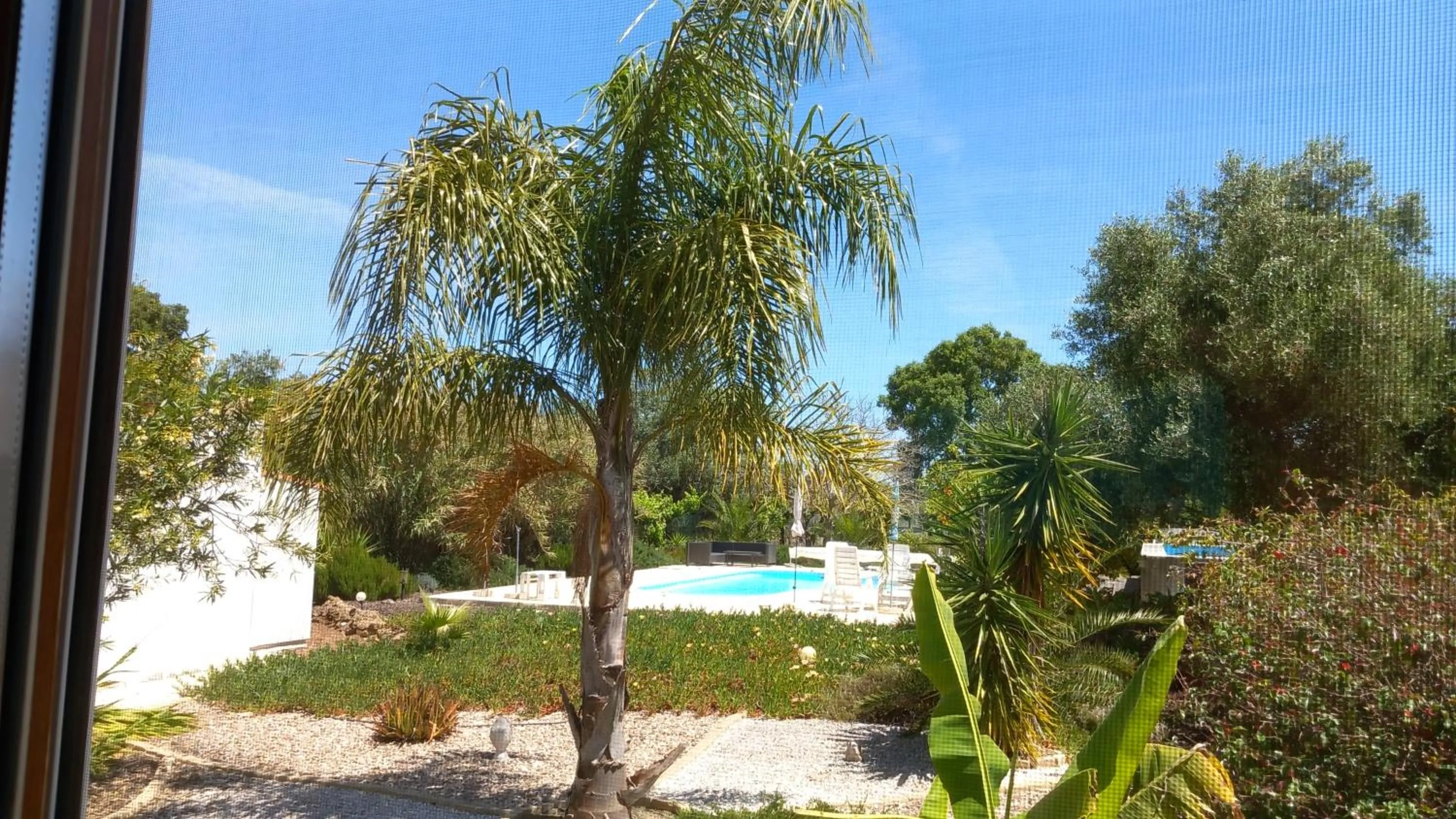 Garden view in Quinta Laranjal da Arrabida