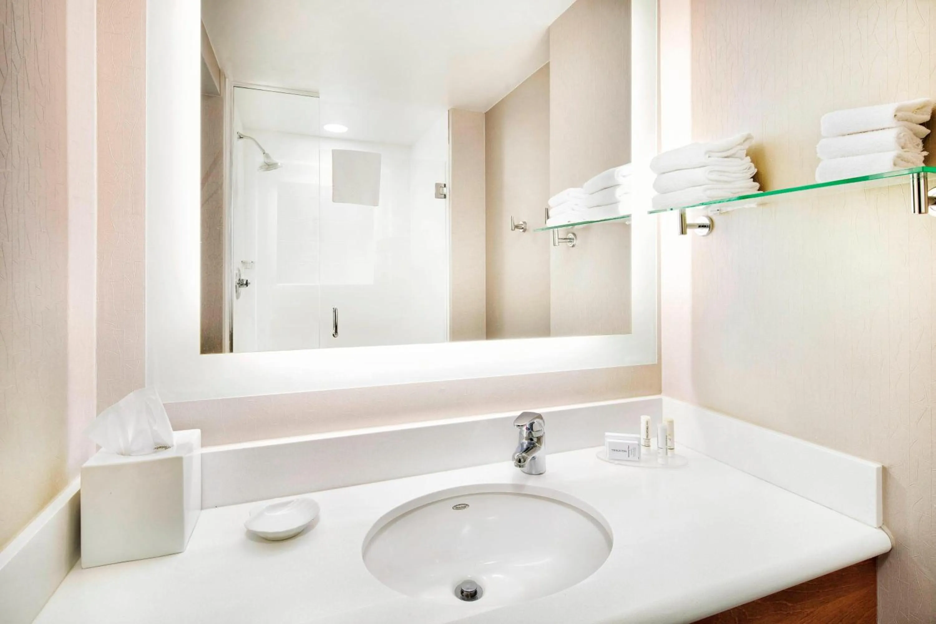 Bathroom in SpringHill Suites Indianapolis Downtown