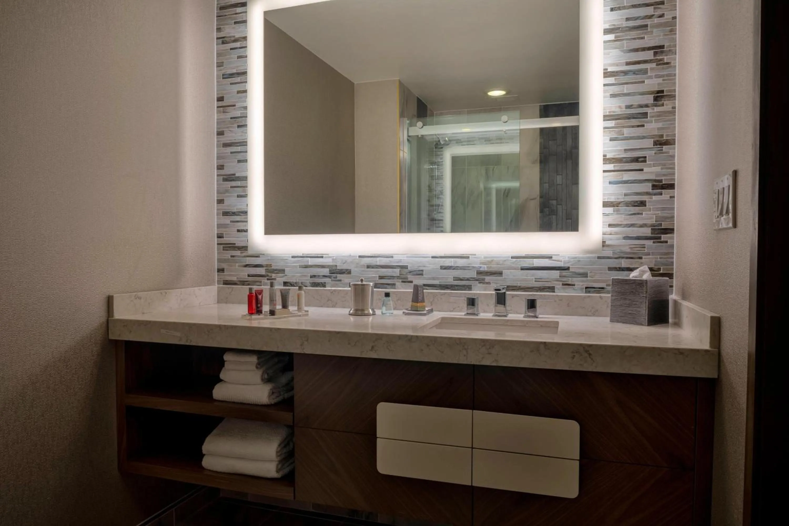 Bathroom in Winston-Salem Marriott