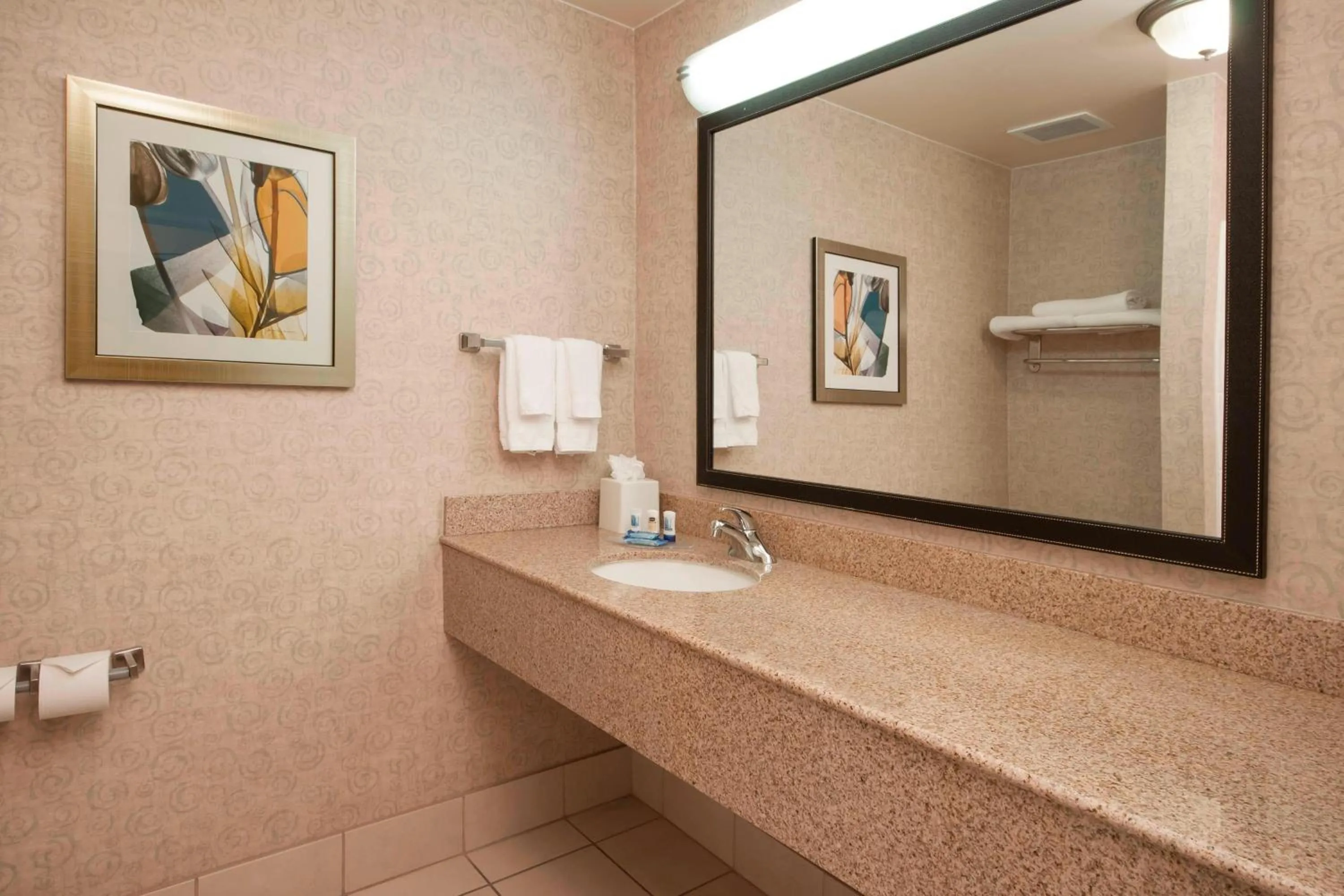 Bathroom in Fairfield Inn & Suites El Centro